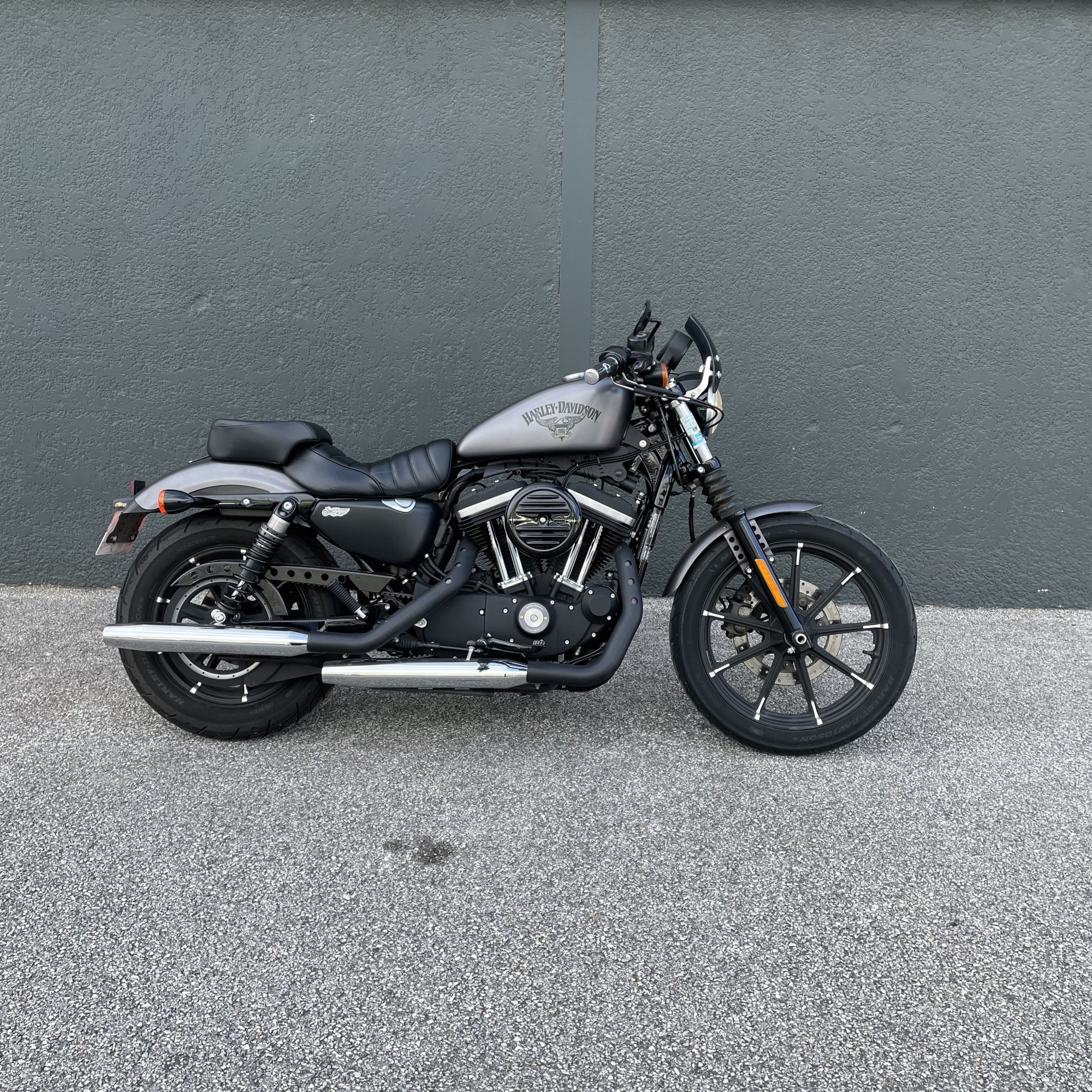Annonce moto Harley-Davidson XL 883 SPORTSTER IRON