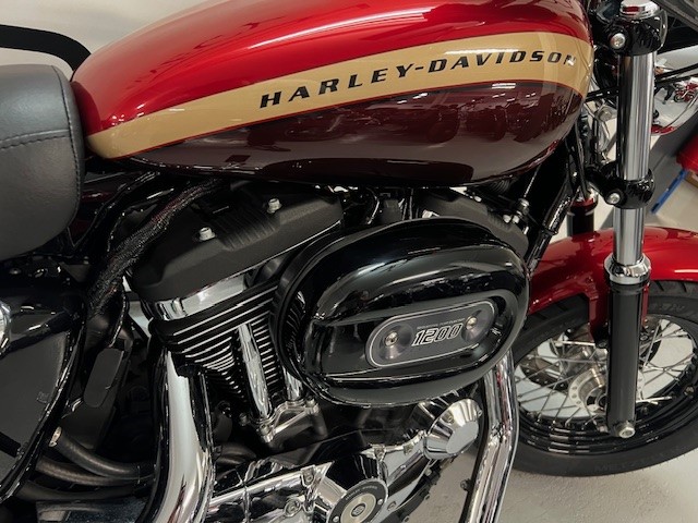 photo de HARLEY DAVIDSON SPORTSTER CUSTOM 1200 1200 occasion de couleur  en vente à Seynod n°3