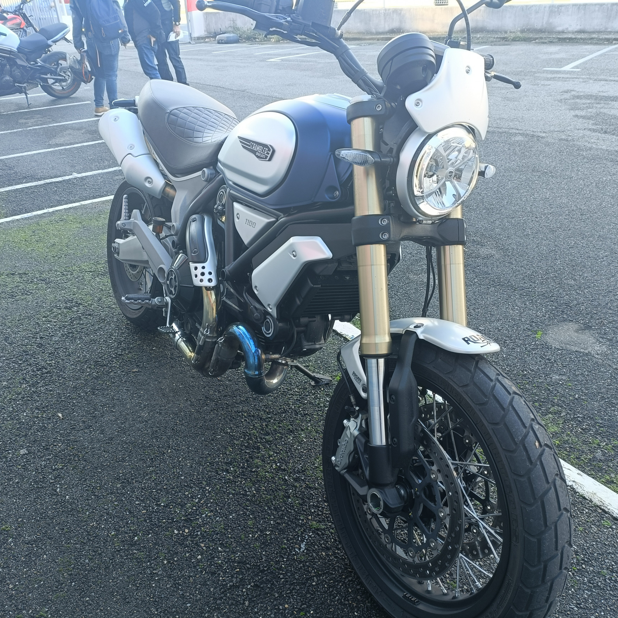 photo de DUCATI SCRAMBLER 1100 occasion de couleur  en vente à Avignon n°3