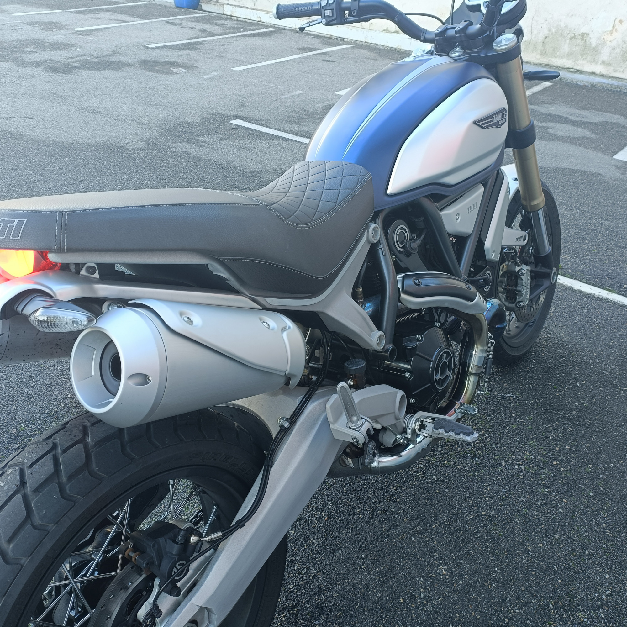 photo de DUCATI SCRAMBLER 1100 occasion de couleur  en vente à Avignon n°2