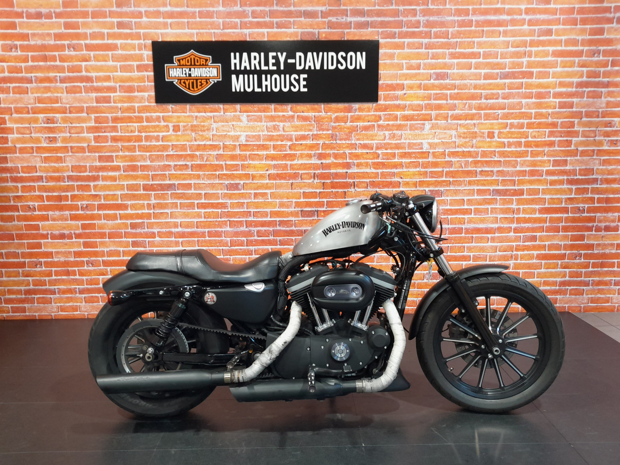 photo de HARLEY DAVIDSON SPORTSTER 883 883 occasion de couleur  en vente à Sausheim n°1