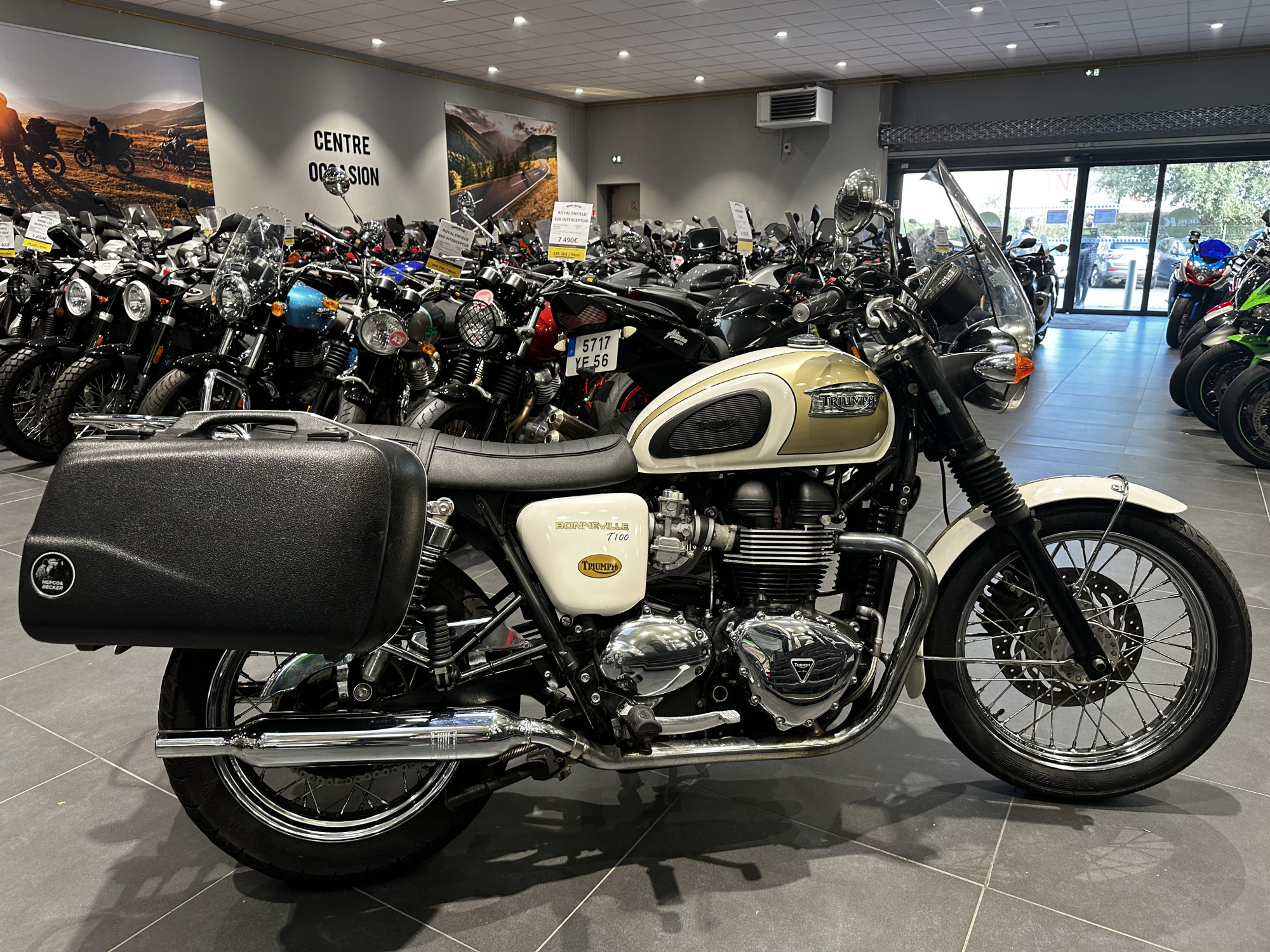 photo de TRIUMPH T 100 865 occasion de couleur  en vente à Ploeren n°2