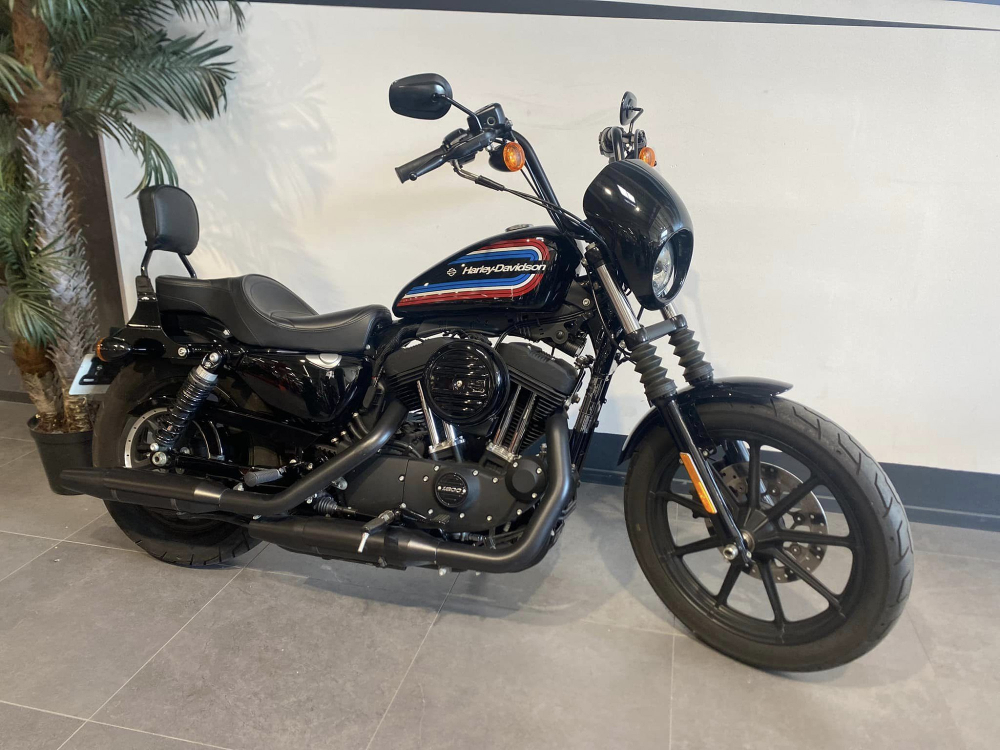 photo de HARLEY DAVIDSON SPORTSTER IRON 1200 1200 occasion de couleur  en vente à Abbeville n°3