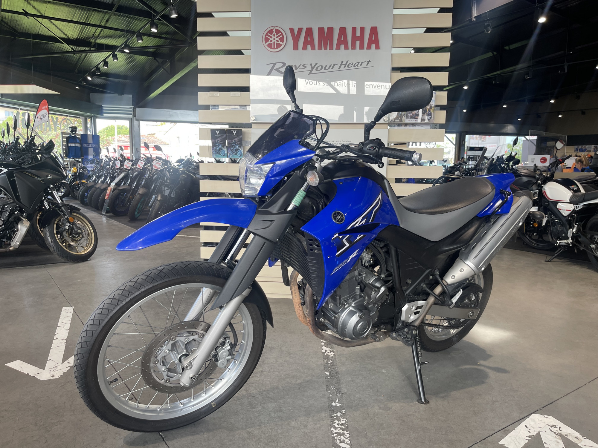 photo de YAMAHA XT 660R 660 occasion de couleur  en vente à Toulouse n°1