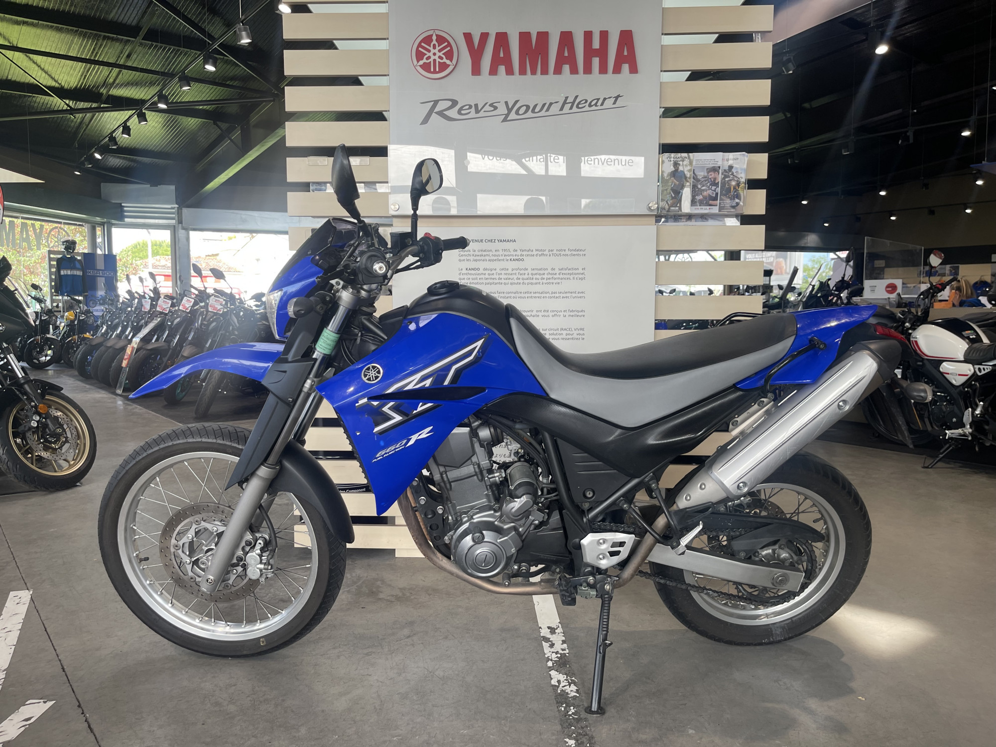 photo de YAMAHA XT 660R 660 occasion de couleur  en vente à Toulouse n°3