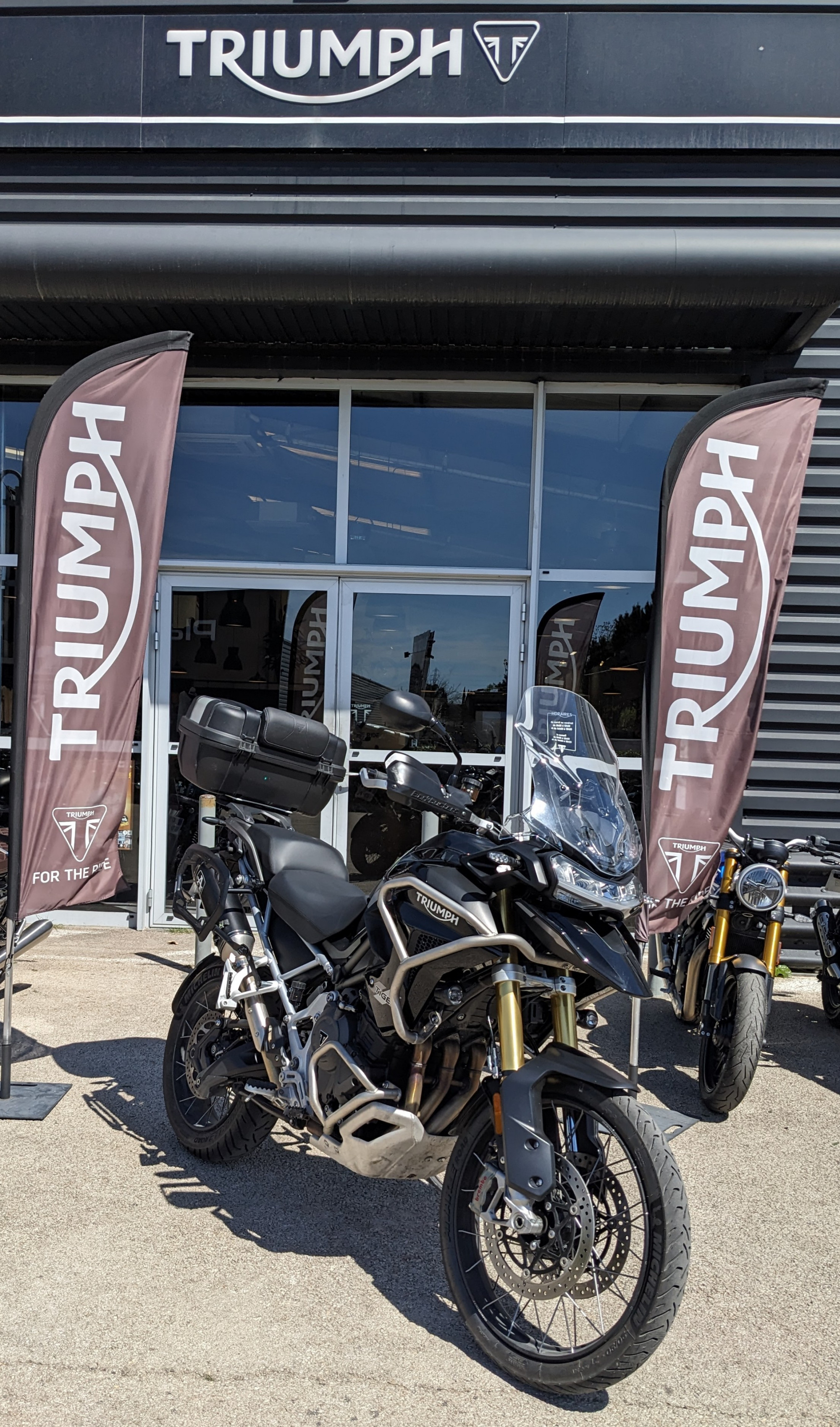 Annonce moto Triumph TIGER 1200 RALLY PRO