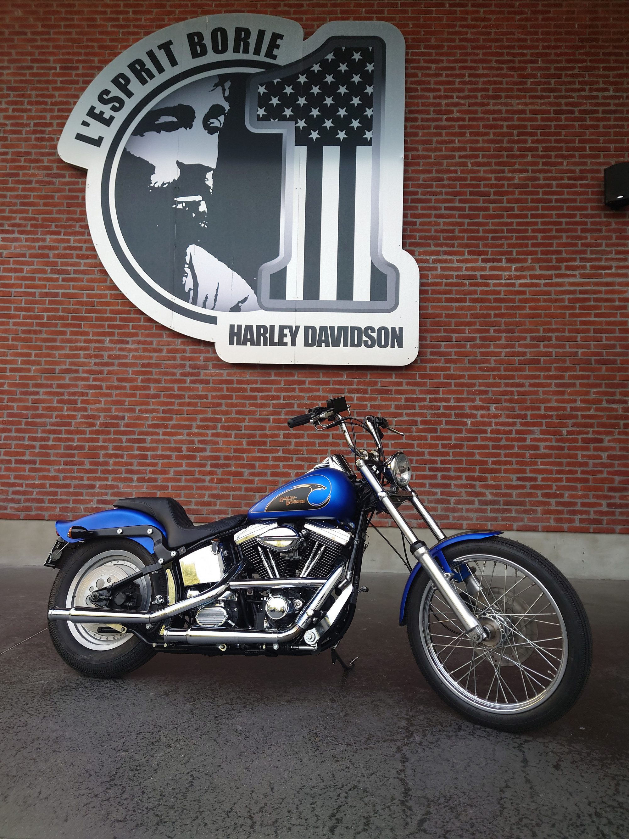 Annonce moto Harley-Davidson SOFTAIL CUSTOM 1340