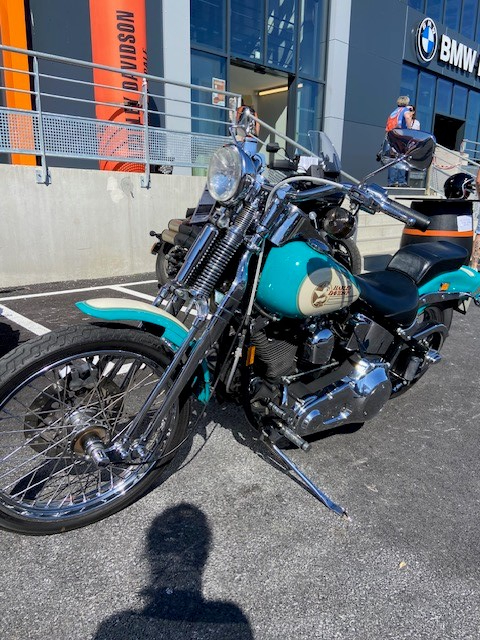 photo de HARLEY DAVIDSON SOFTAIL SPRINGER 1340 CUSTOM  1340 occasion de couleur  en vente à St Leonard n°3