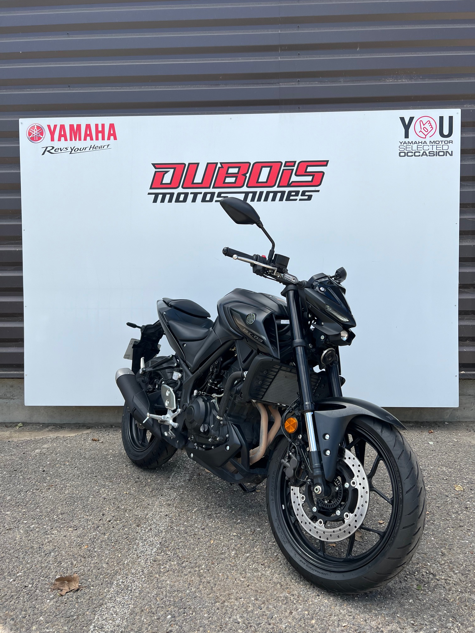 photo de YAMAHA MT-03 300 320 occasion de couleur  en vente à Nimes n°3