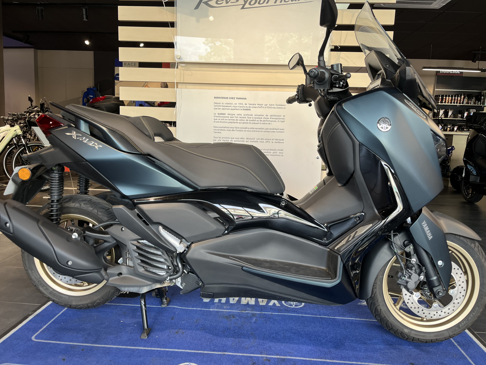 photo de YAMAHA XMAX 125 TECH MAX 125 occasion de couleur  en vente à Thonon Les Bains n°2