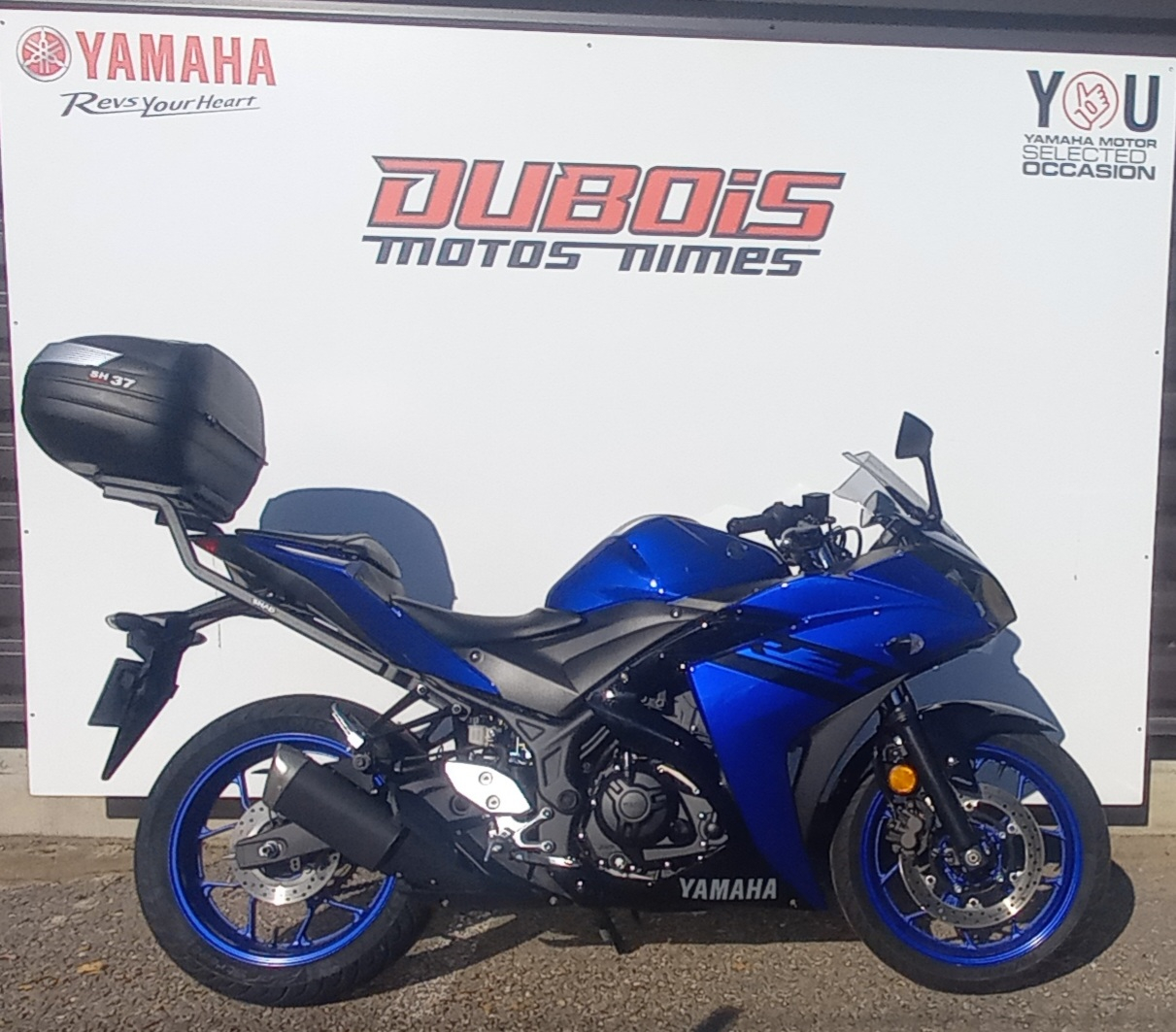 Annonce moto Yamaha R3