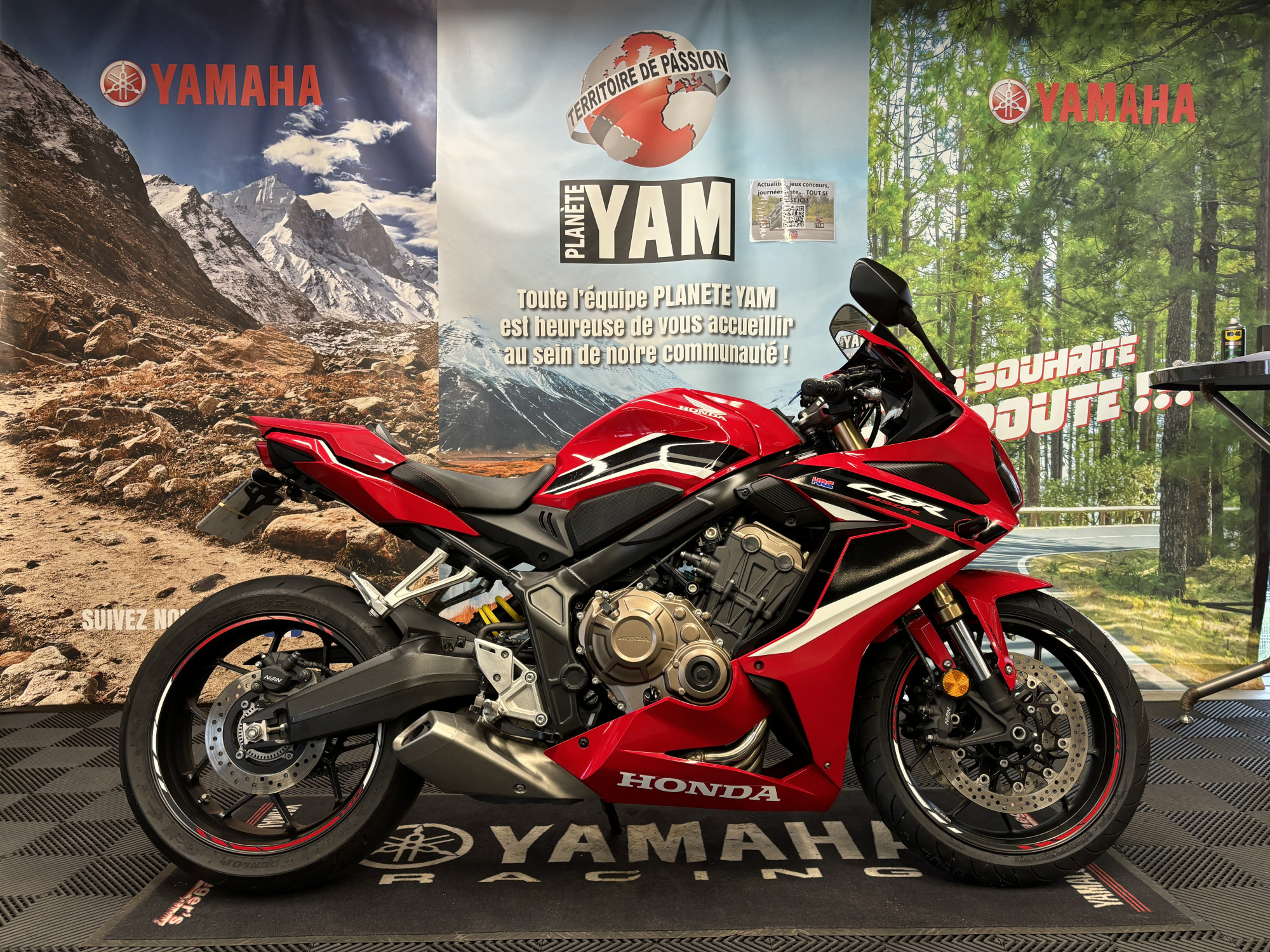 photo de HONDA CBR 650 R (A2) 650 occasion de couleur  en vente   Rennes