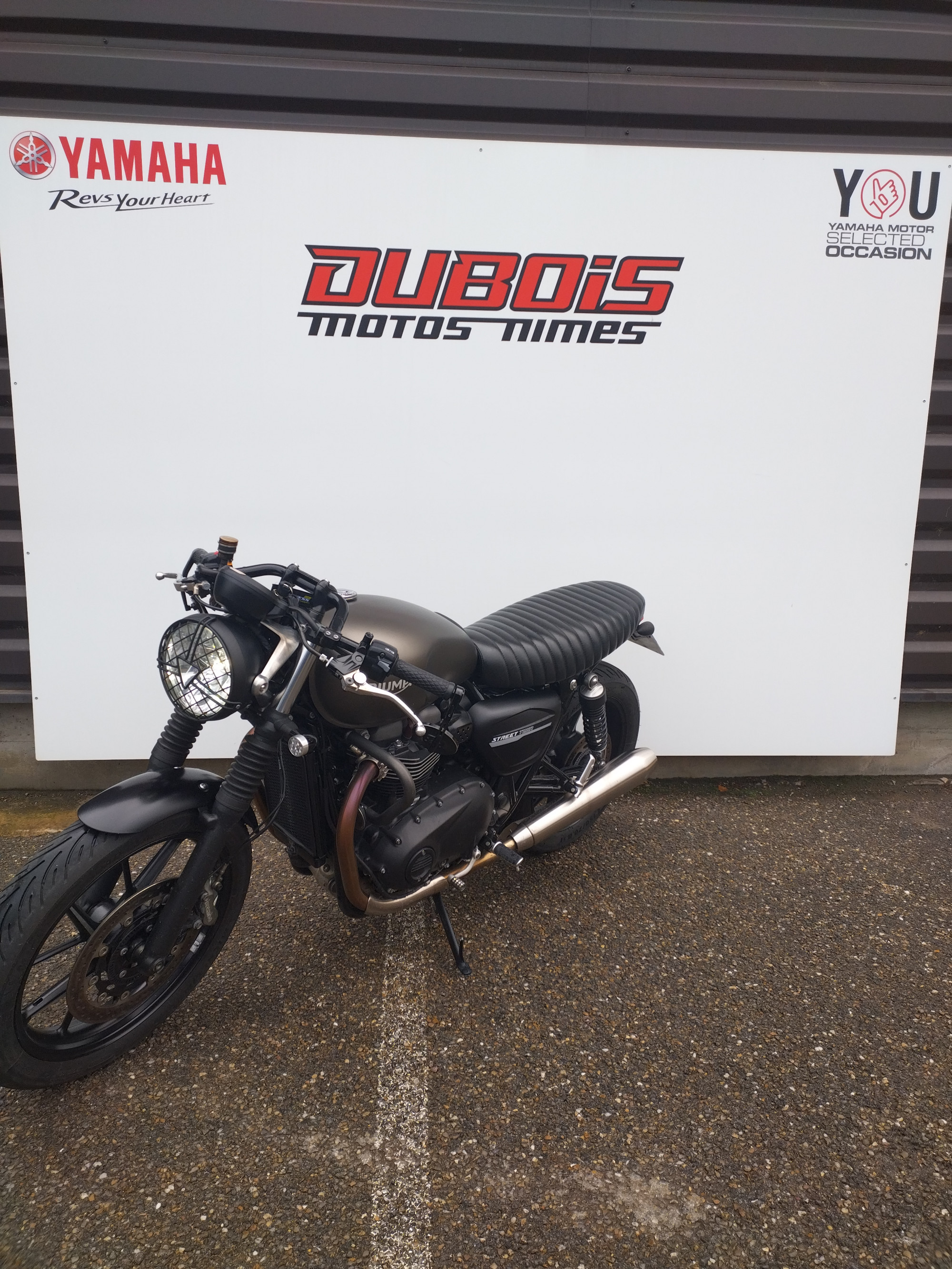 photo de TRIUMPH STREET TWIN  900 900 occasion de couleur  en vente à Nimes n°2