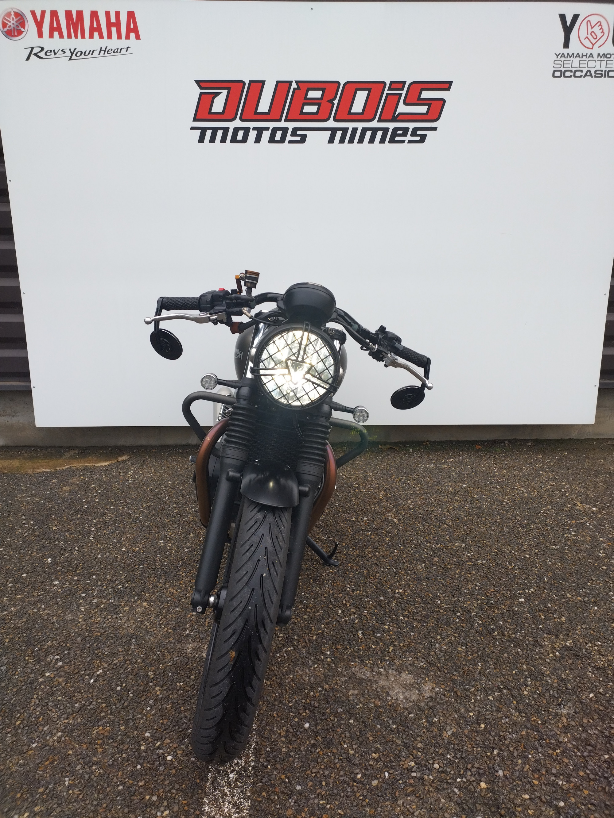 photo de TRIUMPH STREET TWIN  900 900 occasion de couleur  en vente à Nimes n°3