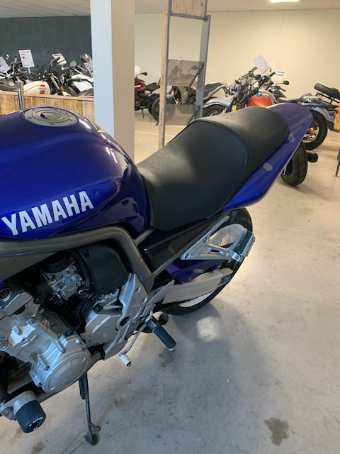 photo de YAMAHA FZ1 FAZER 1000 occasion de couleur  en vente   Niort