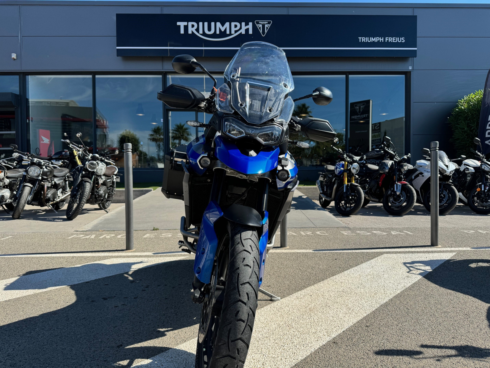 photo de TRIUMPH TIGER 900 GT PRO 900 occasion de couleur  en vente à Frejus n°3