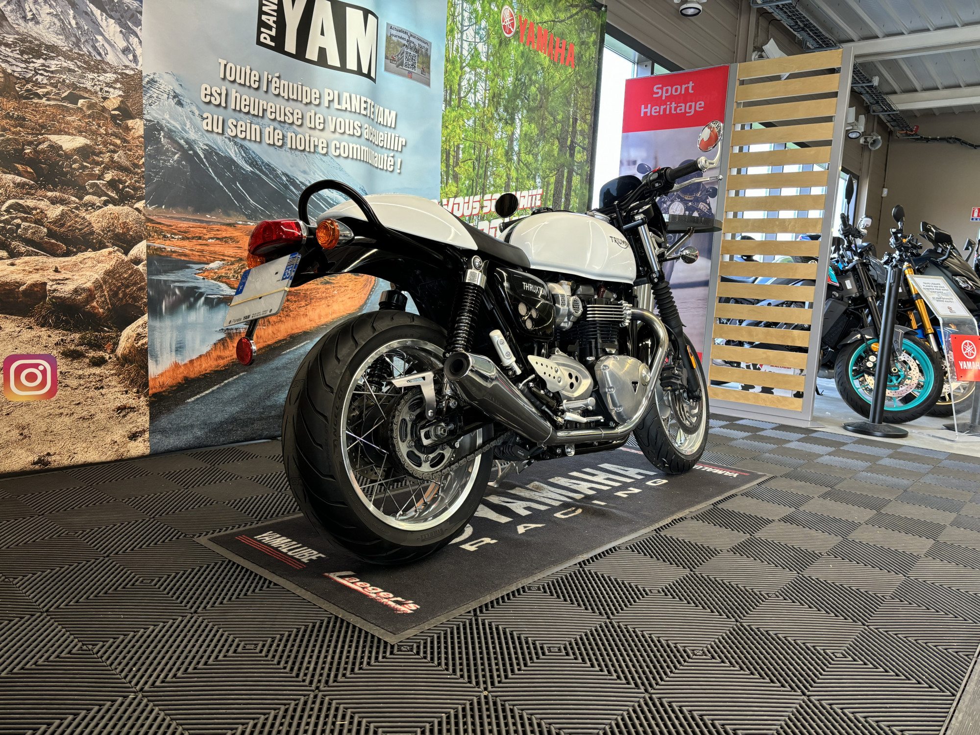 photo de TRIUMPH THRUXTON 1200 1200 occasion de couleur  en vente à Rennes n°3