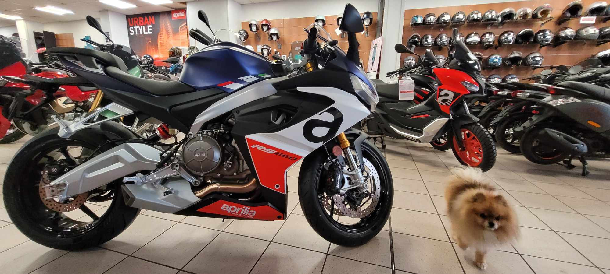 photo de APRILIA RS 660 ABS 660 occasion de couleur  en vente à Frejus n°1