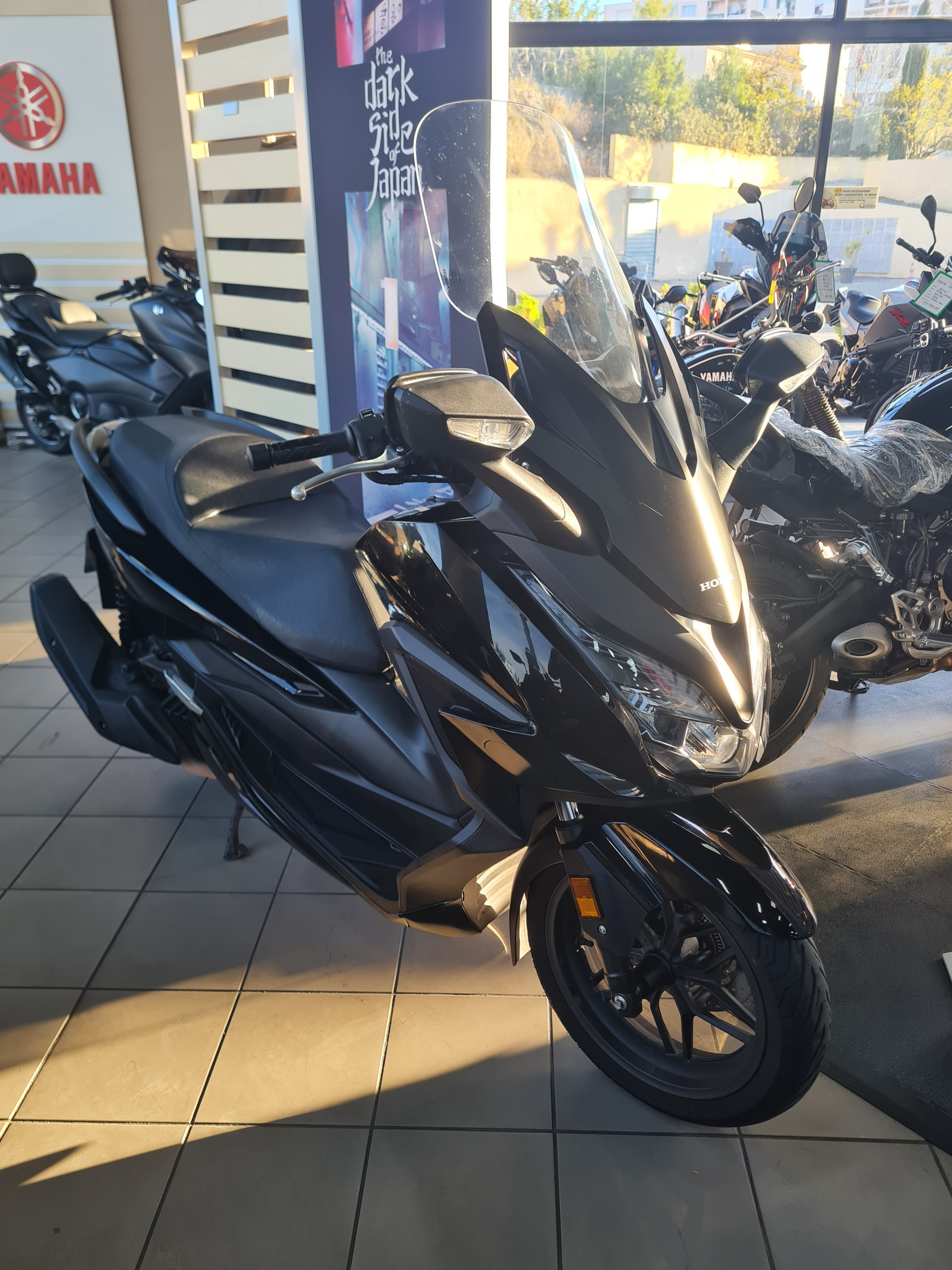 photo de HONDA NSS FORZA 125 125 occasion de couleur  en vente à Marseille 14 n°3