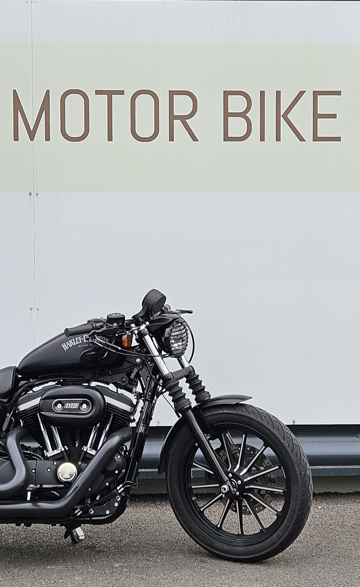 photo de HARLEY DAVIDSON SPORTSTER 883 883 occasion de couleur  en vente à St Andre Sur Orne n°1