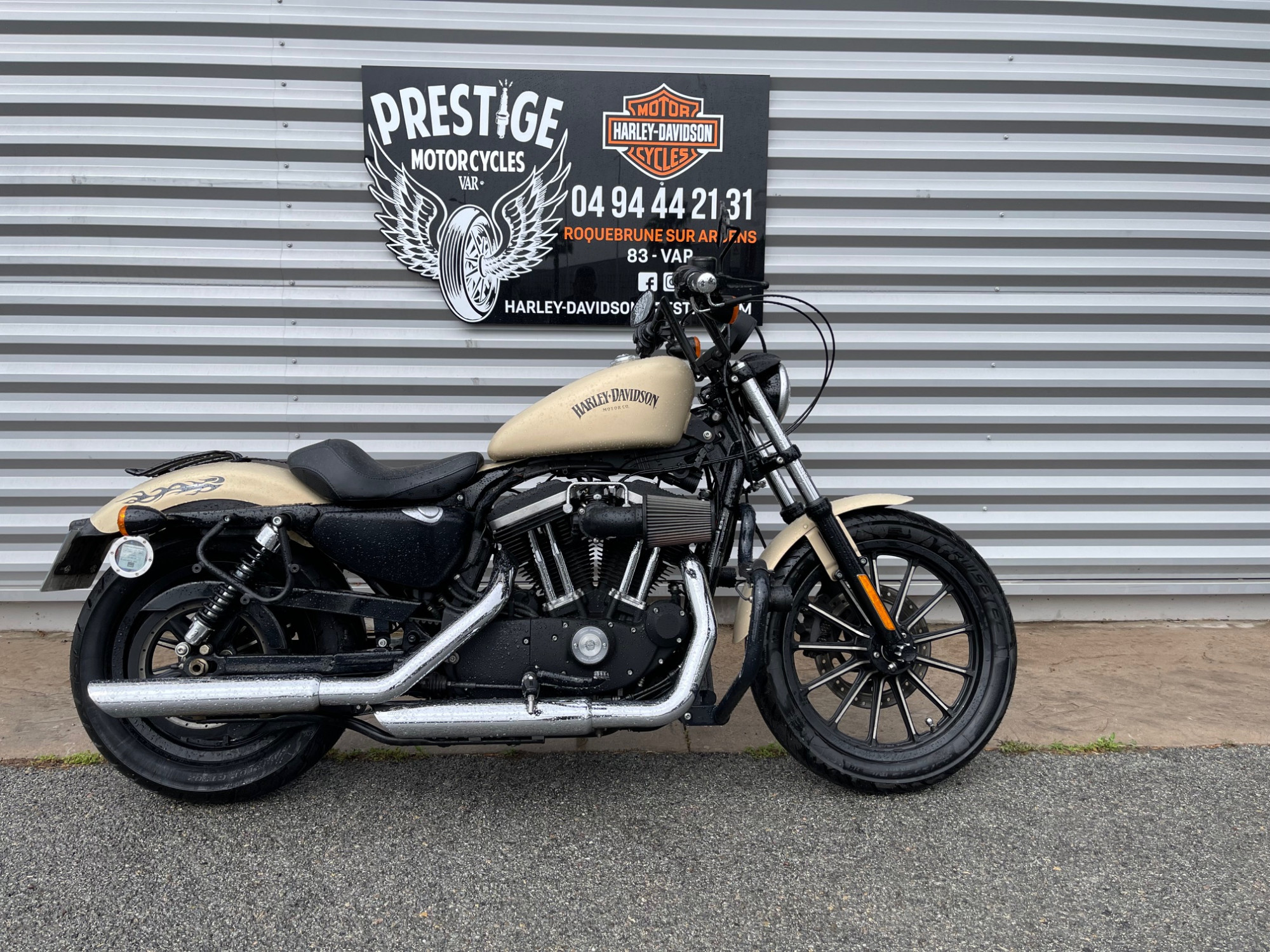 photo de HARLEY DAVIDSON SPORTSTER 883 N 883 occasion de couleur  en vente à Roquebrune Sur Argens n°1