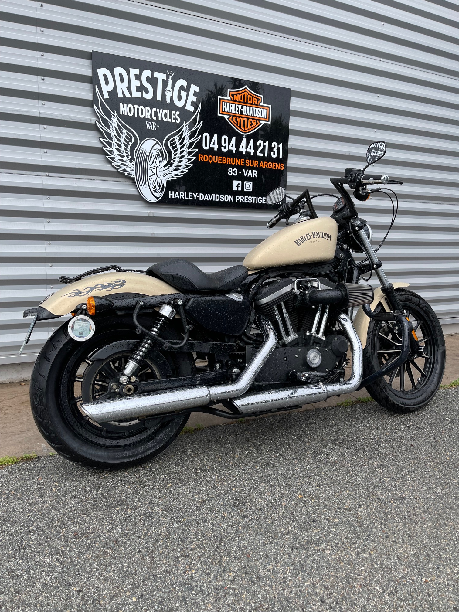 photo de HARLEY DAVIDSON SPORTSTER 883 N 883 occasion de couleur  en vente à Roquebrune Sur Argens n°2