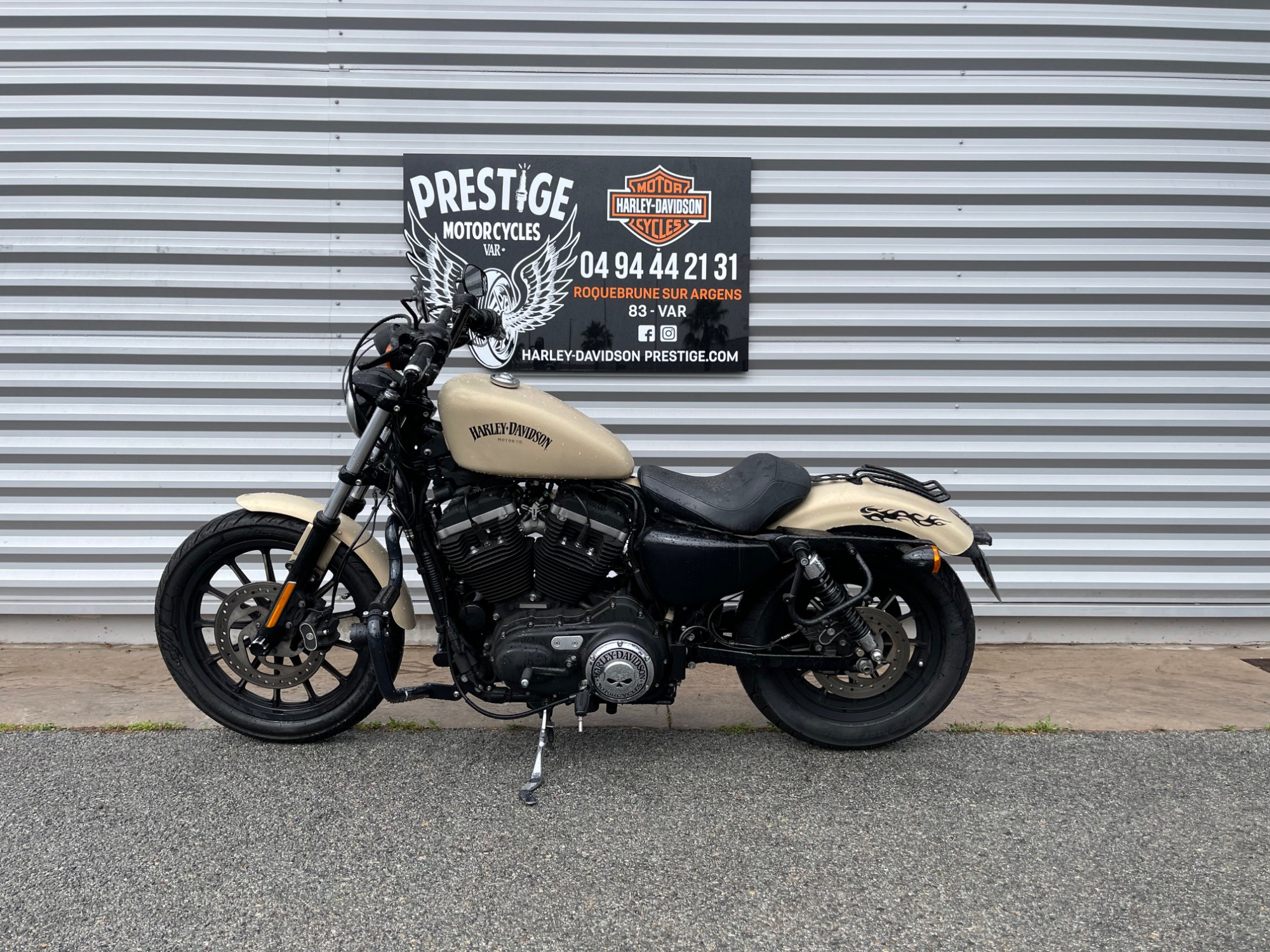 photo de HARLEY DAVIDSON SPORTSTER 883 N 883 occasion de couleur  en vente à Roquebrune Sur Argens n°3