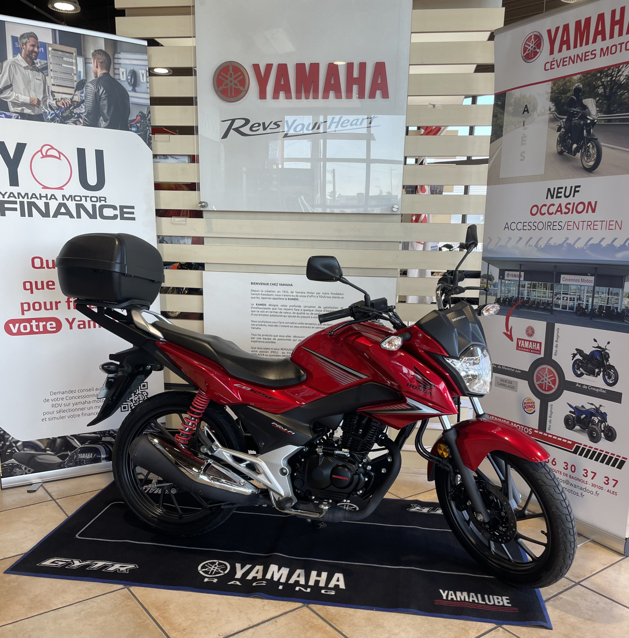 photo de HONDA CBF 125 occasion de couleur  en vente à Ales n°2