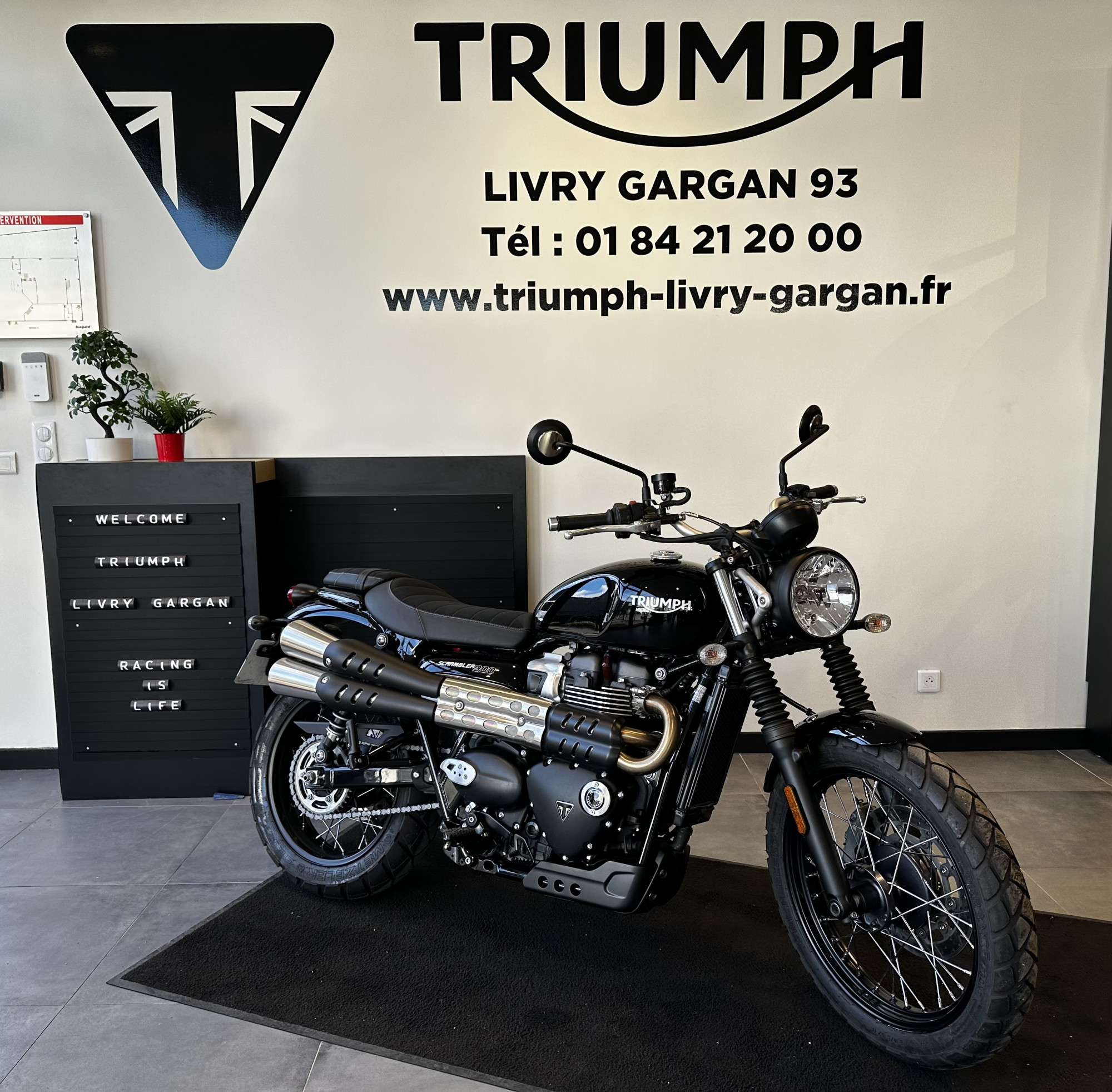 Annonce moto Triumph SCRAMBLER 900