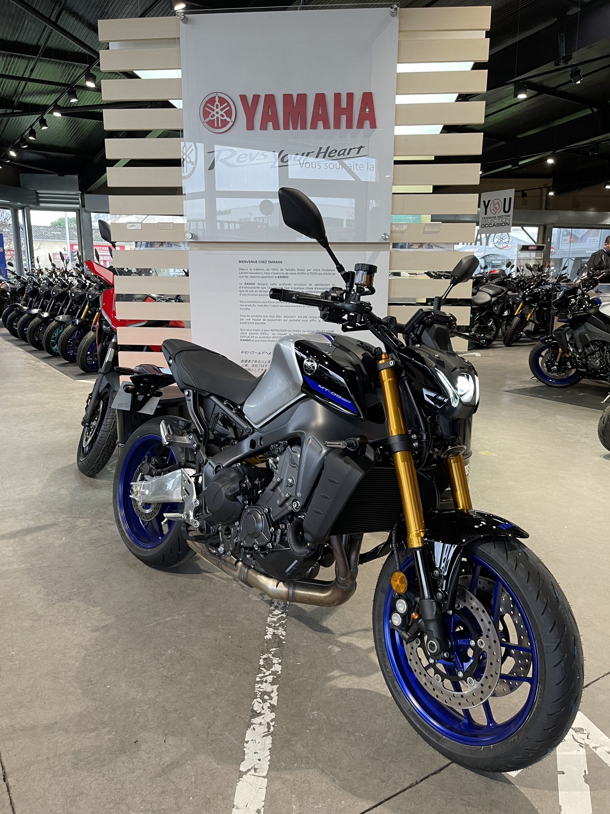 photo de YAMAHA MT-09 SP 890 occasion de couleur  en vente à Toulouse n°2