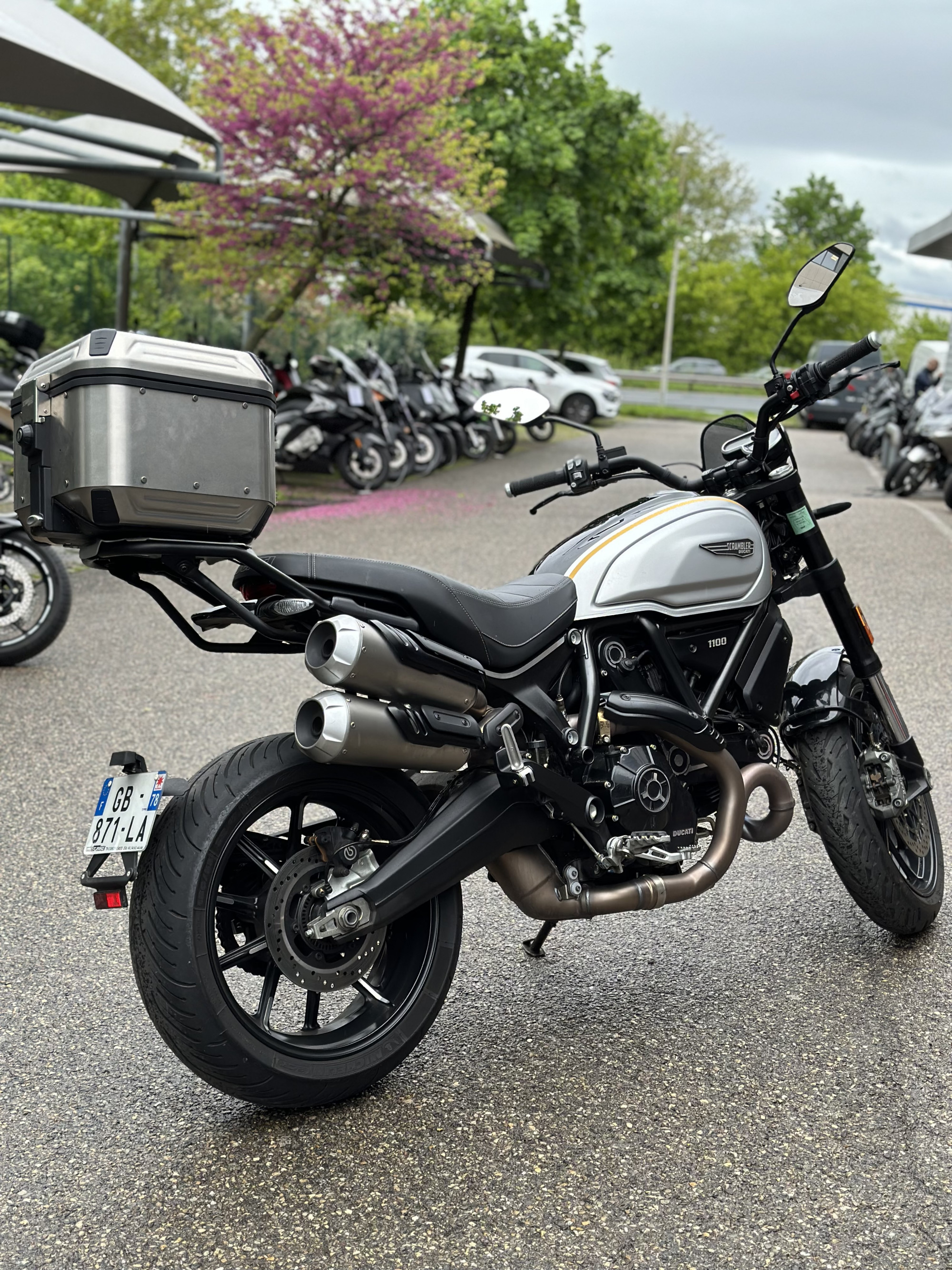 photo de DUCATI SCRAMBLER 1100 occasion de couleur  en vente à Dardilly n°2