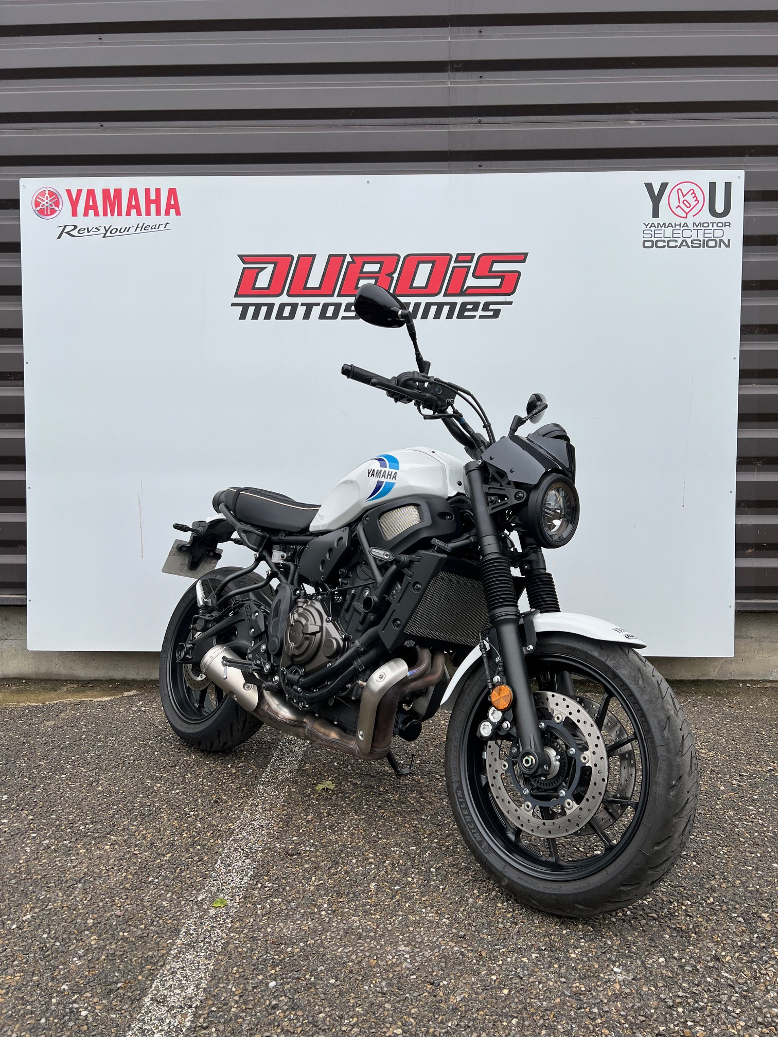 photo de YAMAHA XSR 700 700 occasion de couleur  en vente à Nimes n°3