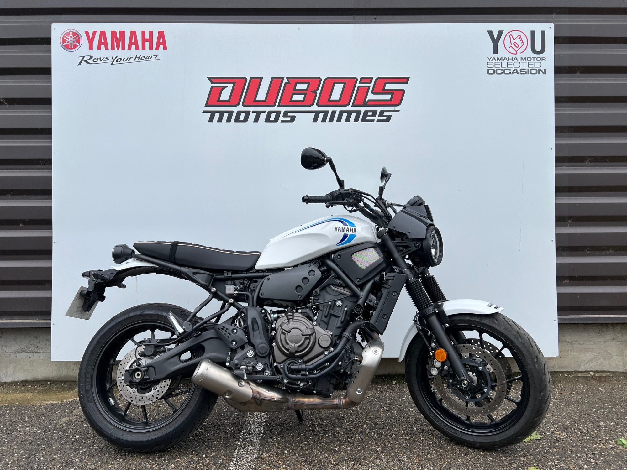 photo de YAMAHA XSR 700 700 occasion de couleur  en vente à Nimes n°3