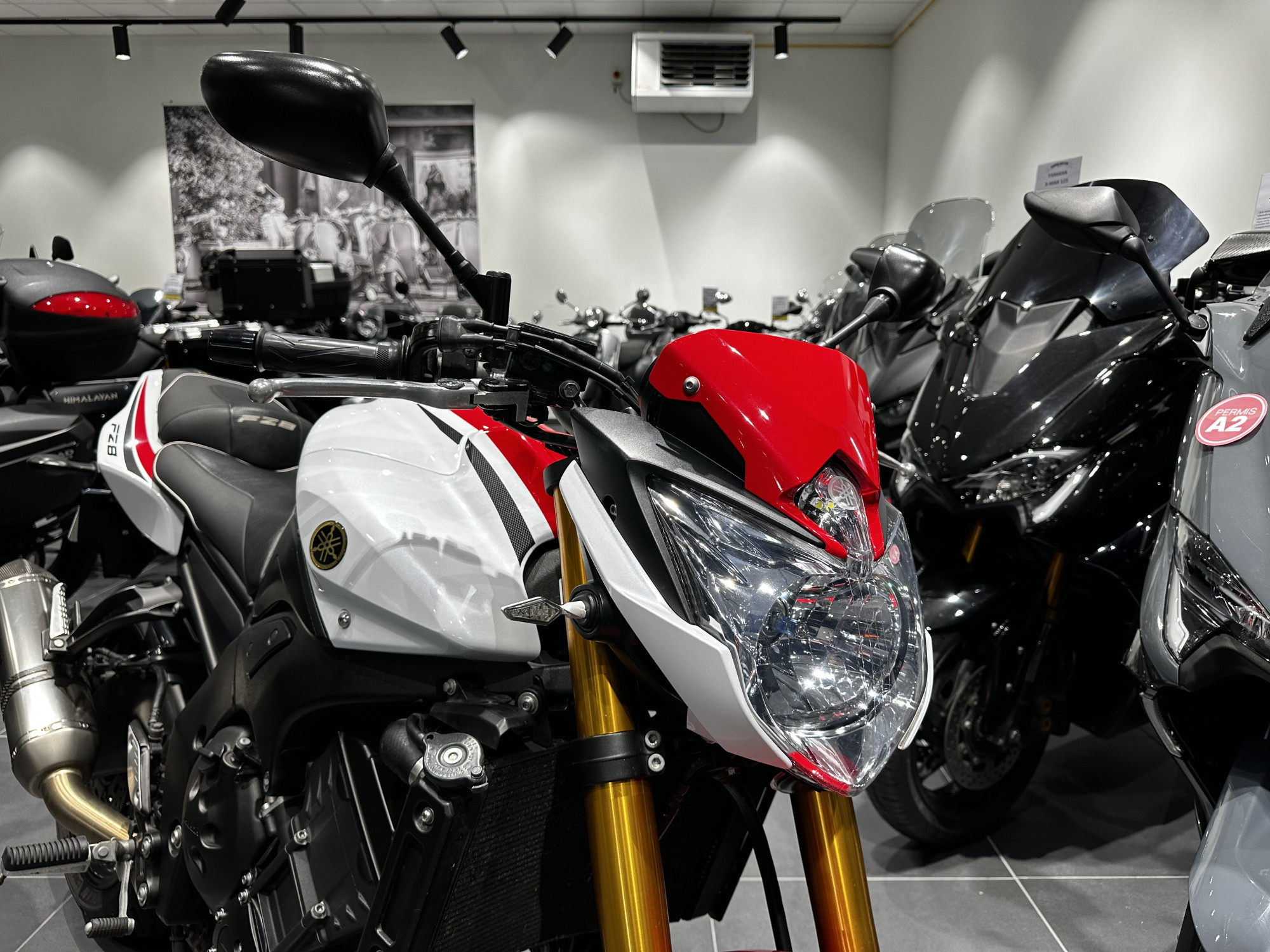 photo de YAMAHA FZ8 FAZER 800 occasion de couleur  en vente   Ploeren