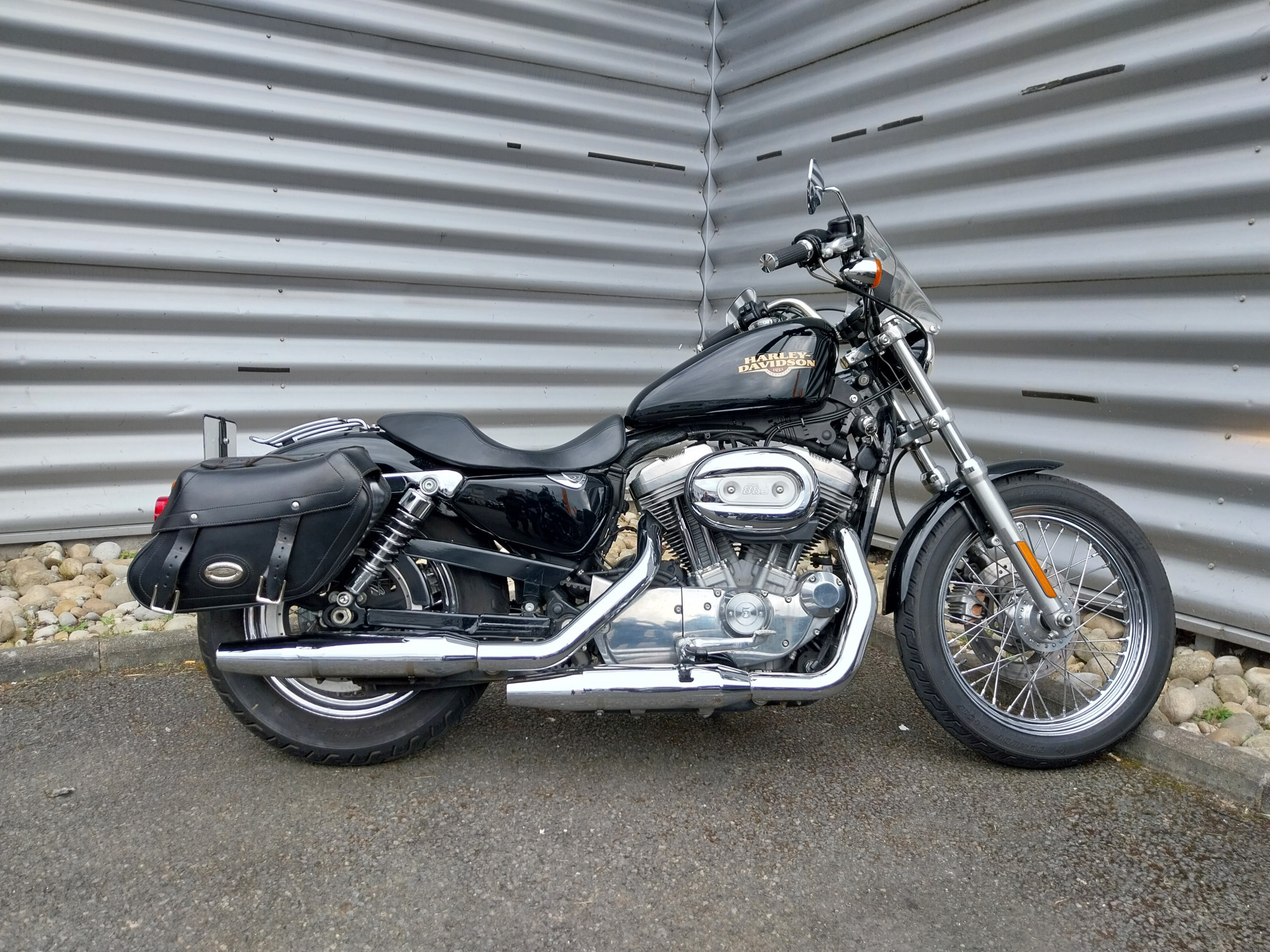 photo de HARLEY DAVIDSON SPORTSTER 883 LOW 883 occasion de couleur  en vente à Brignais n°2