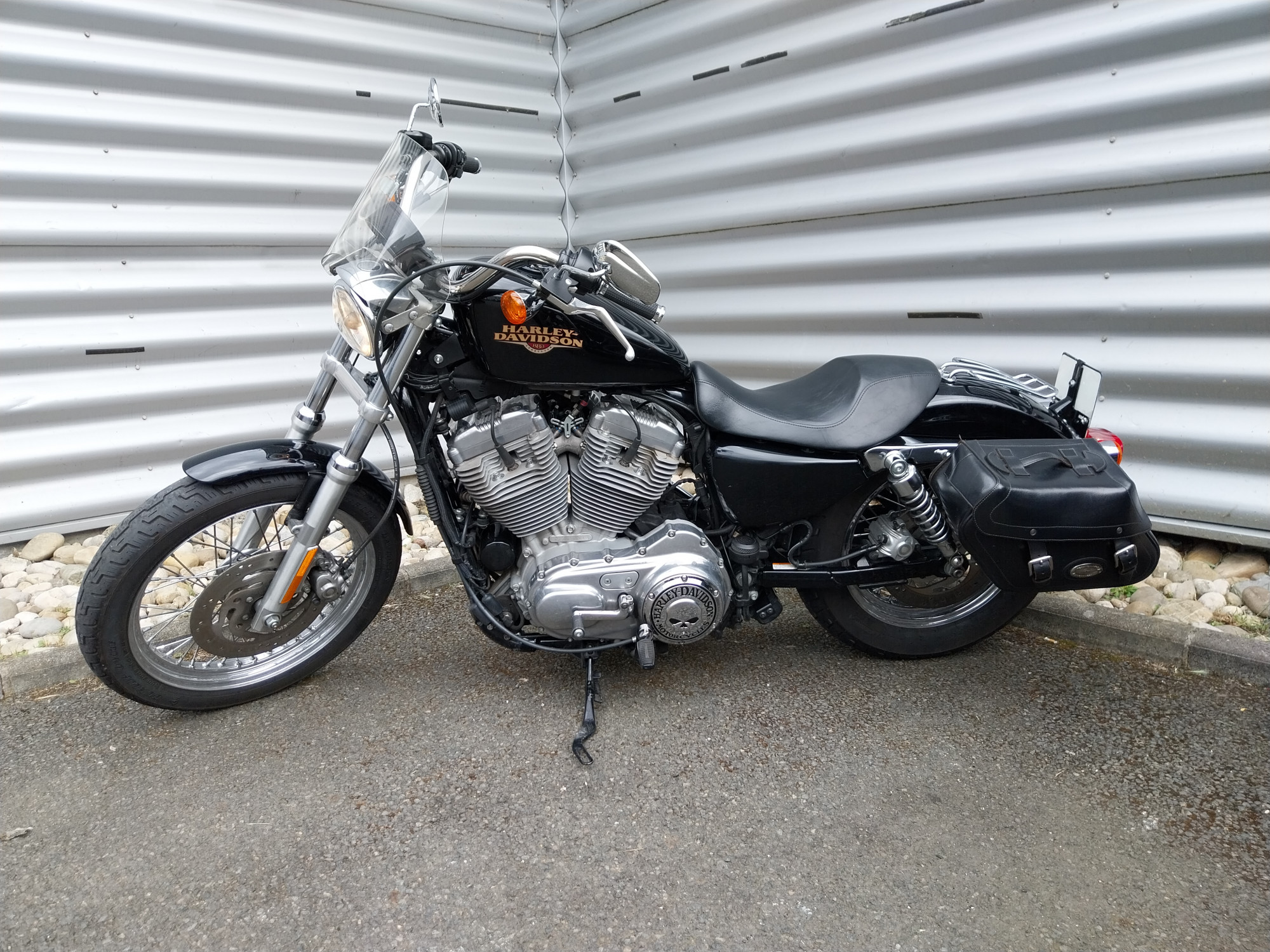 photo de HARLEY DAVIDSON SPORTSTER 883 LOW 883 occasion de couleur  en vente à Brignais n°1