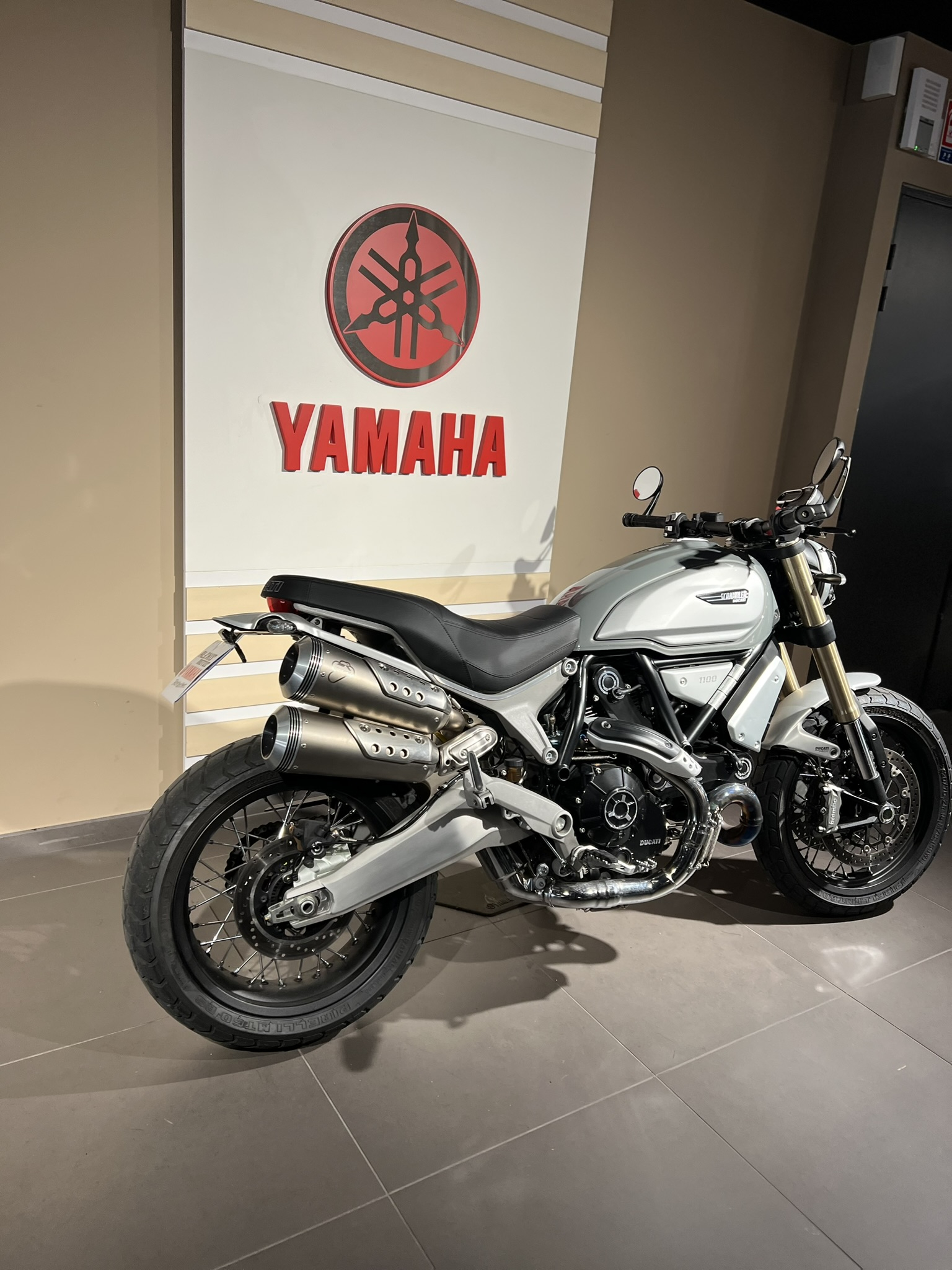 photo de DUCATI SCRAMBLER 1100 occasion de couleur  en vente à Dardilly n°2