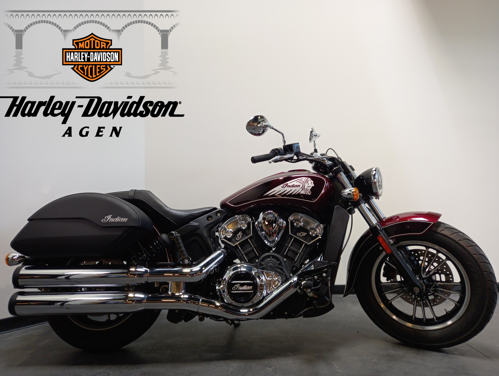 photo de INDIAN SCOUT 1131 1131 occasion de couleur  en vente à Boe n°3