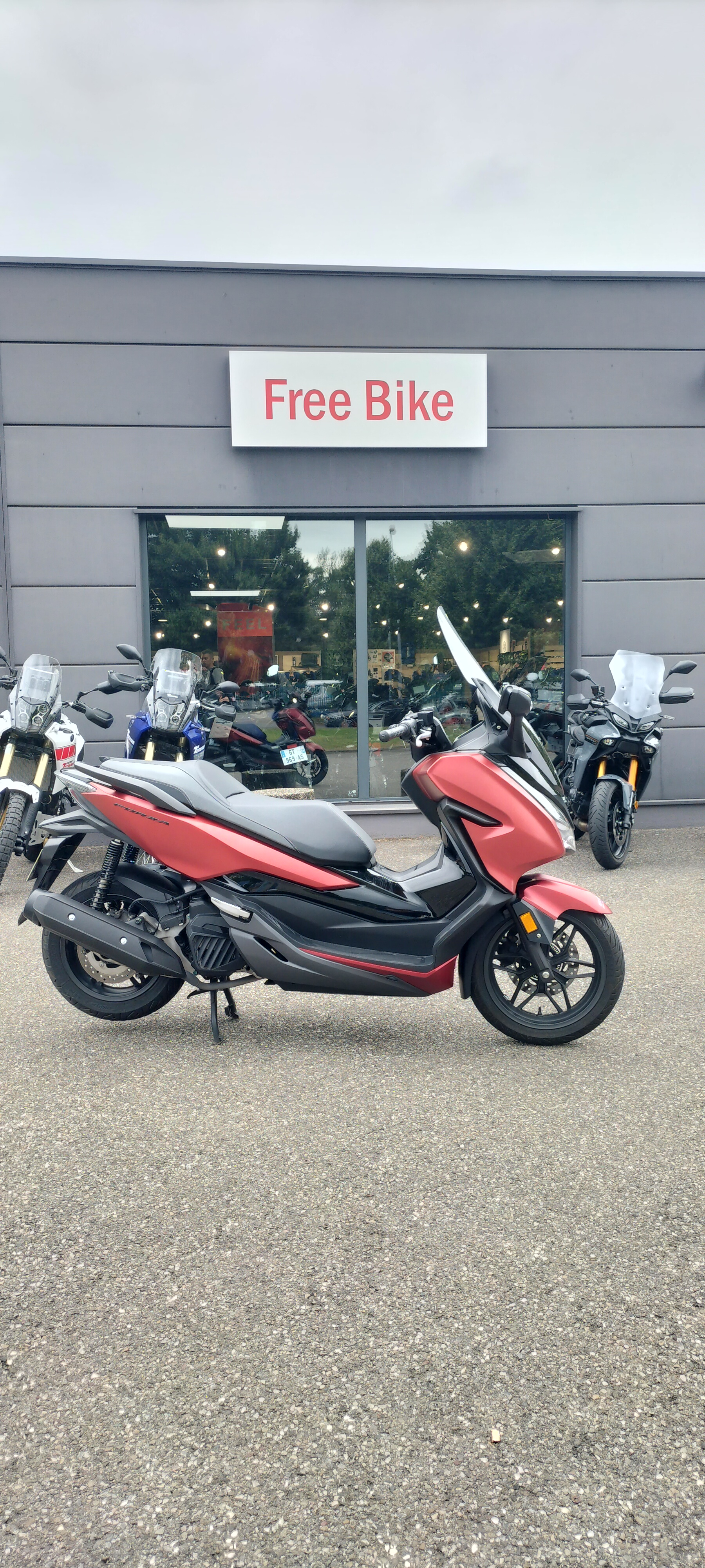 photo de HONDA NSS FORZA  125AD 125 occasion de couleur  en vente à Mulhouse n°2