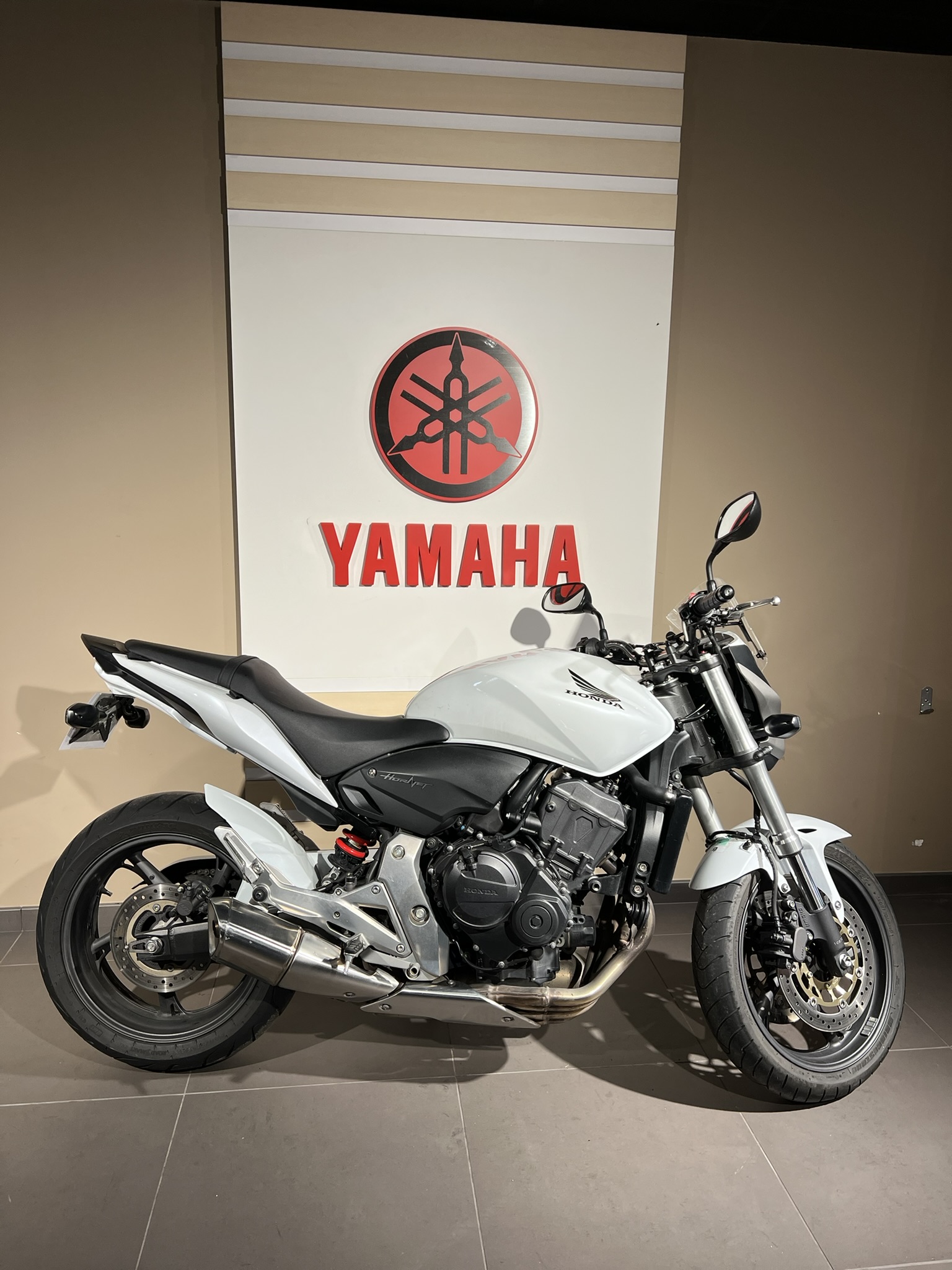 photo de HONDA CB 600 HORNET 600 occasion de couleur  en vente   Dardilly