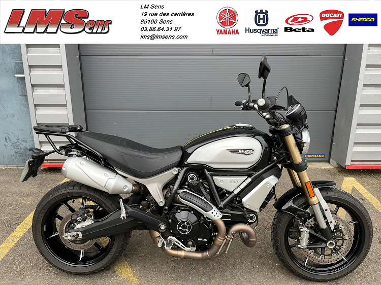 photo de DUCATI SCRAMBLER 1100 occasion de couleur  en vente à Sens n°2