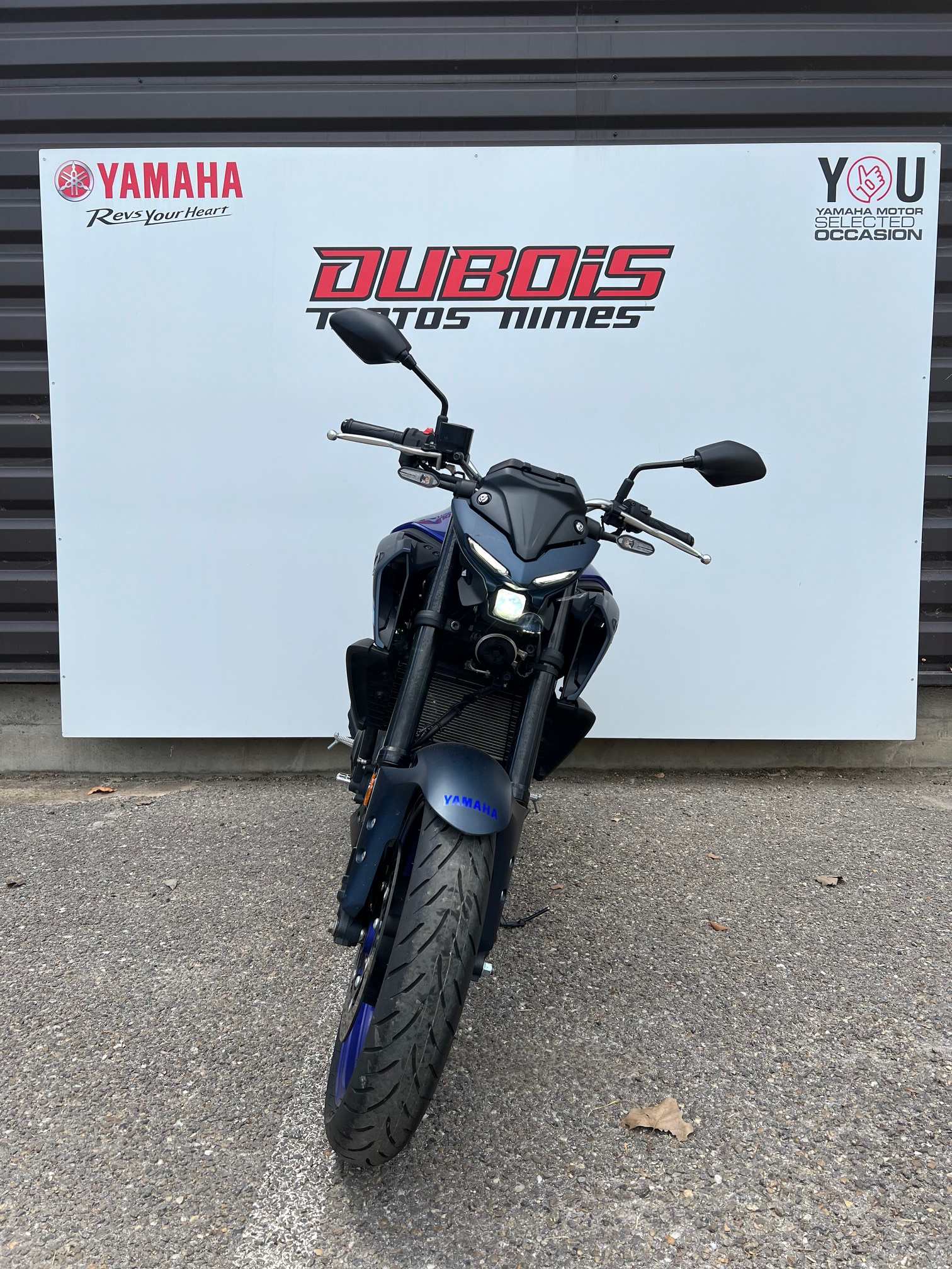 photo de YAMAHA MT-03 300 320 occasion de couleur  en vente à Nimes n°3