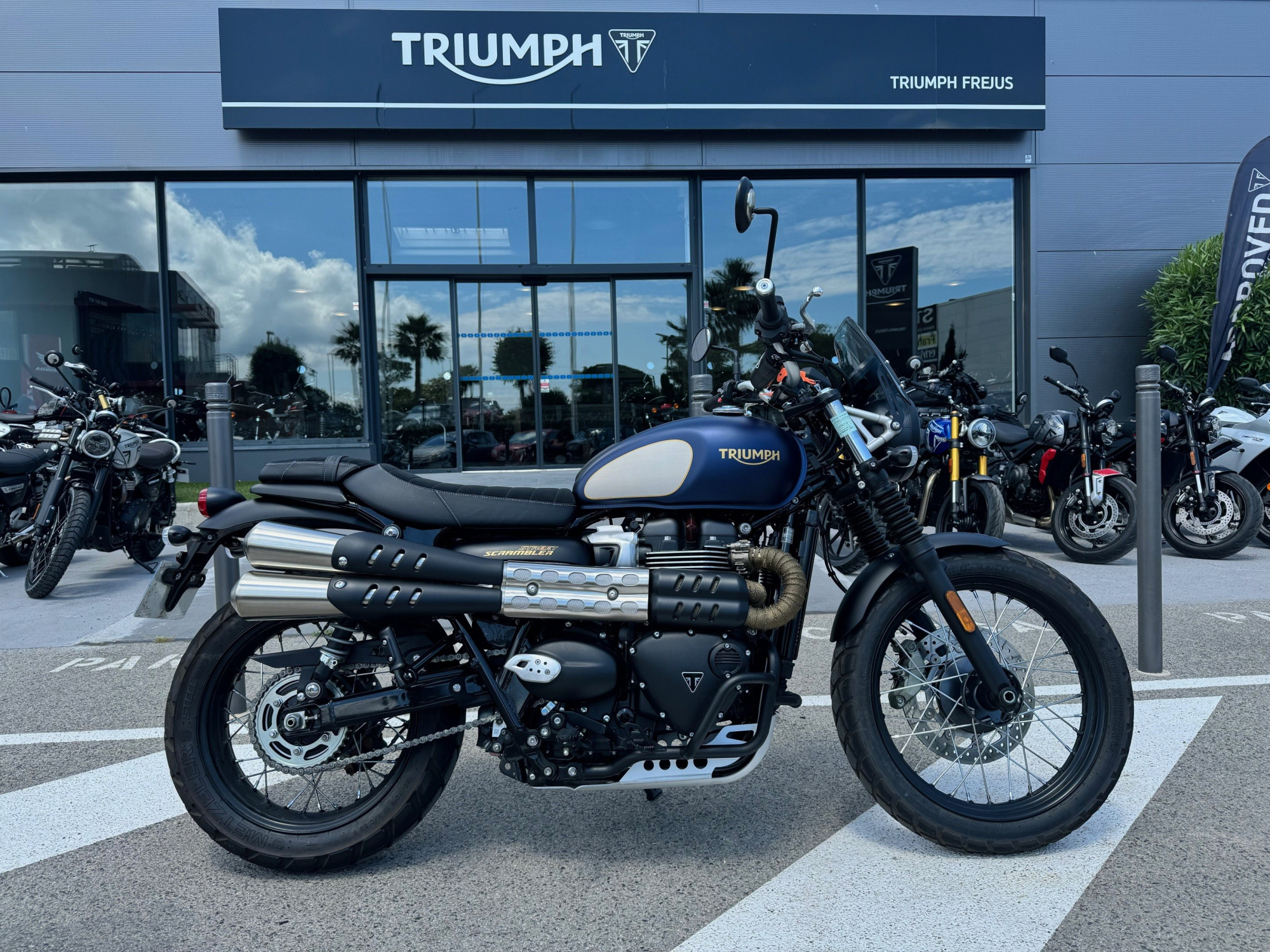 Annonce moto Triumph STREET SCRAMBLER  900