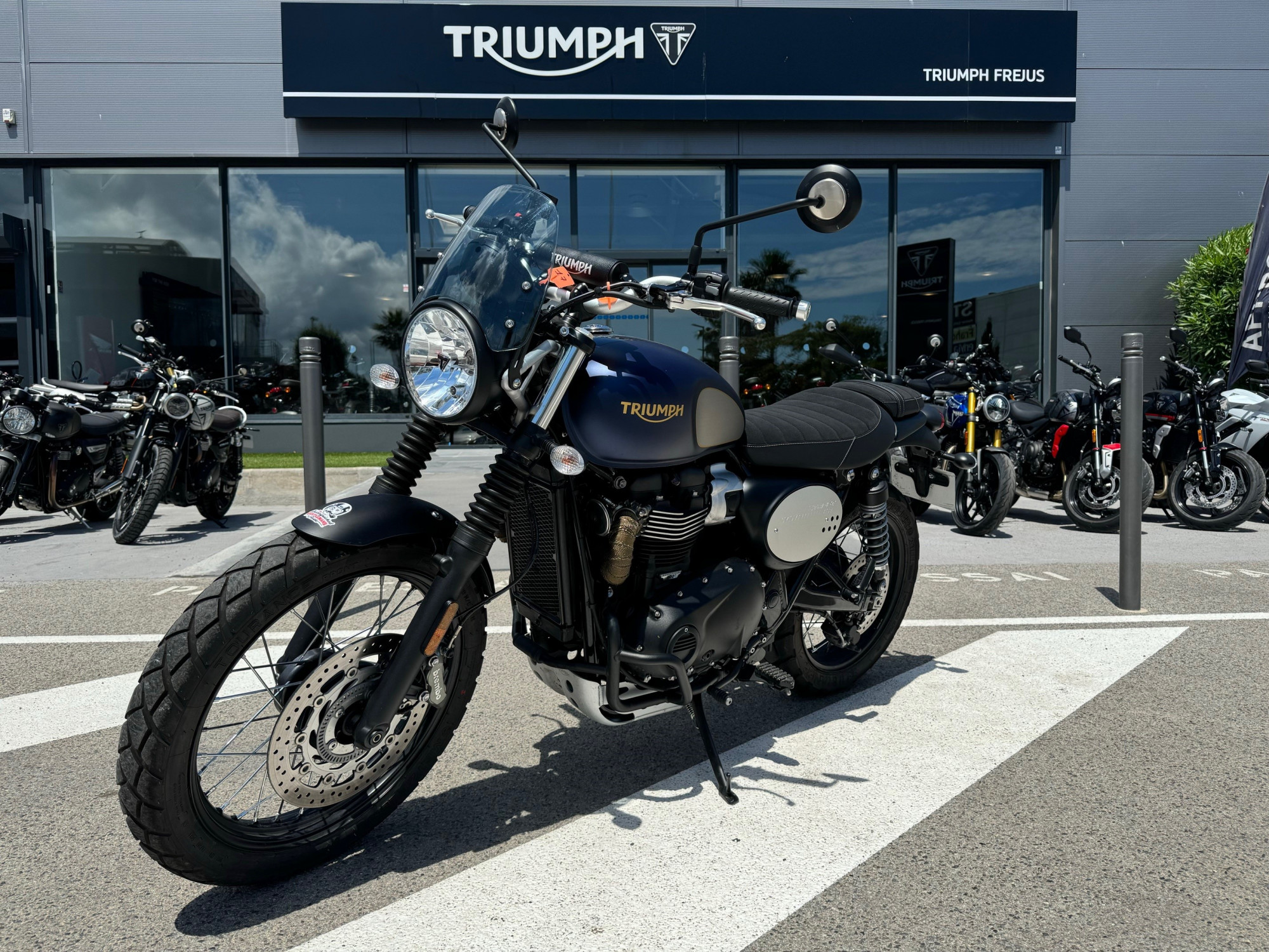 photo de TRIUMPH STREET SCRAMBLER  900 900 occasion de couleur  en vente à Frejus n°2