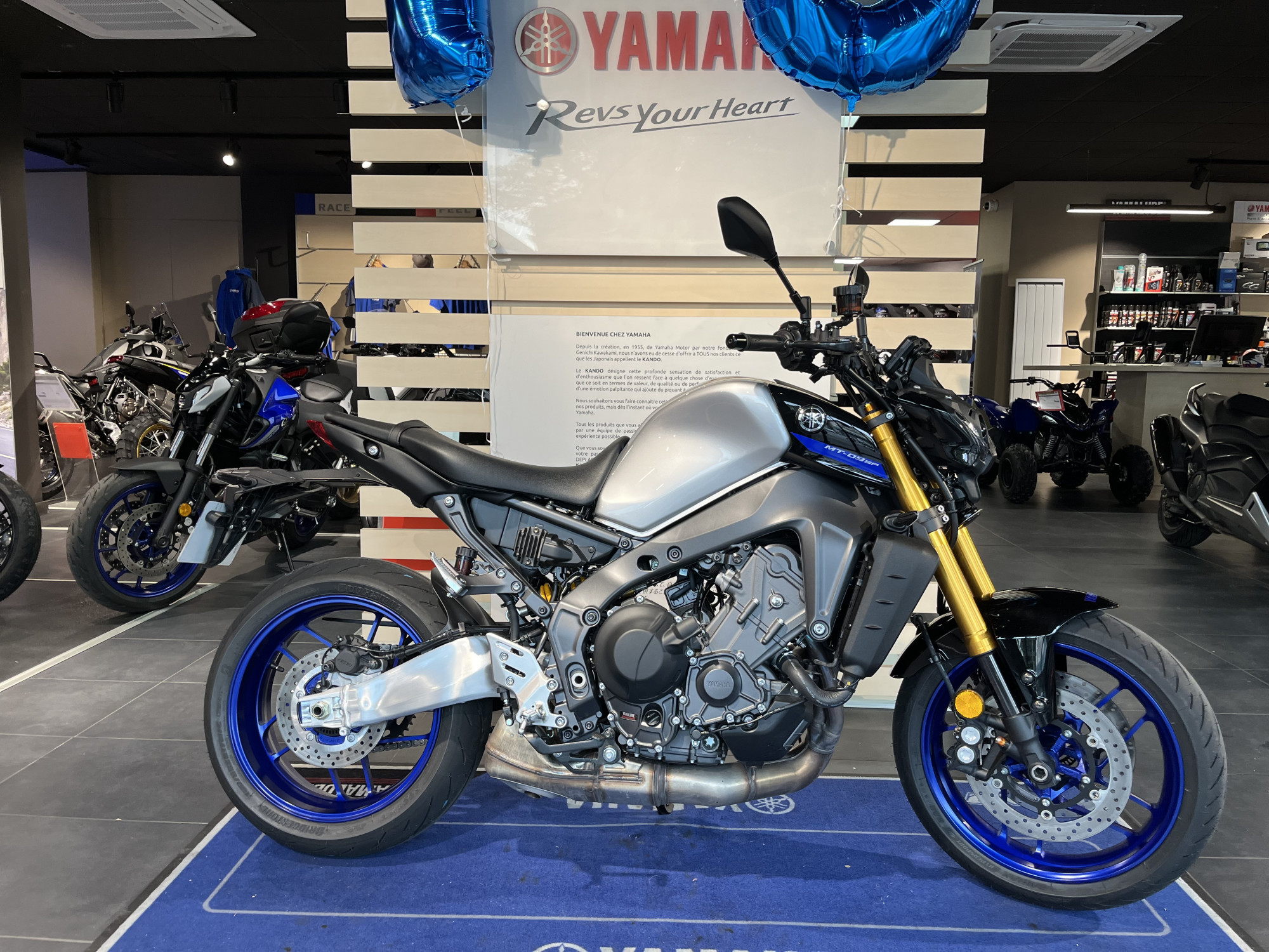 photo de YAMAHA MT-09 SP 890 occasion de couleur  en vente à Thonon Les Bains n°1