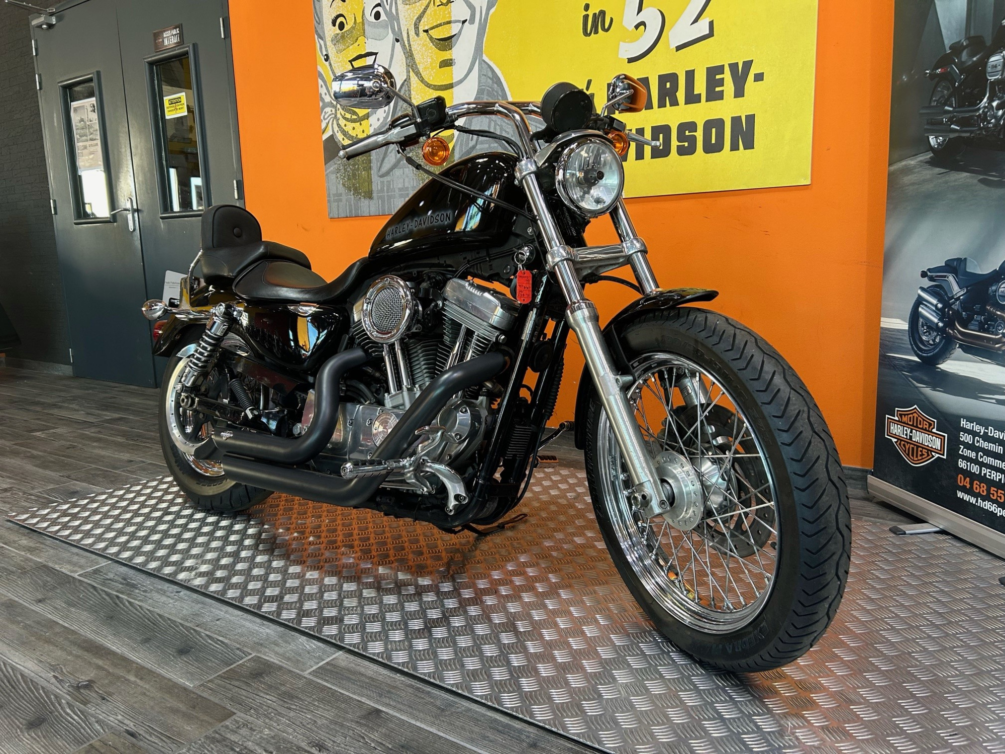 photo de HARLEY DAVIDSON SPORTSTER 883 LOW 883 occasion de couleur  en vente à Perpignan n°3