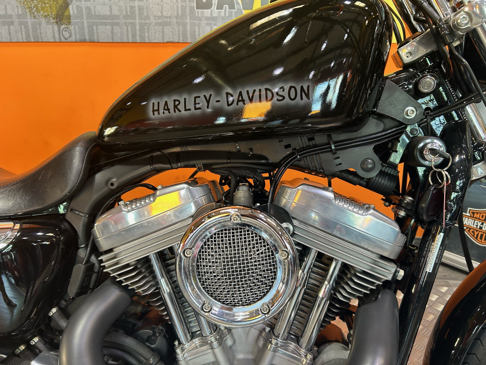 photo de HARLEY DAVIDSON SPORTSTER 883 LOW 883 occasion de couleur  en vente à Perpignan n°2