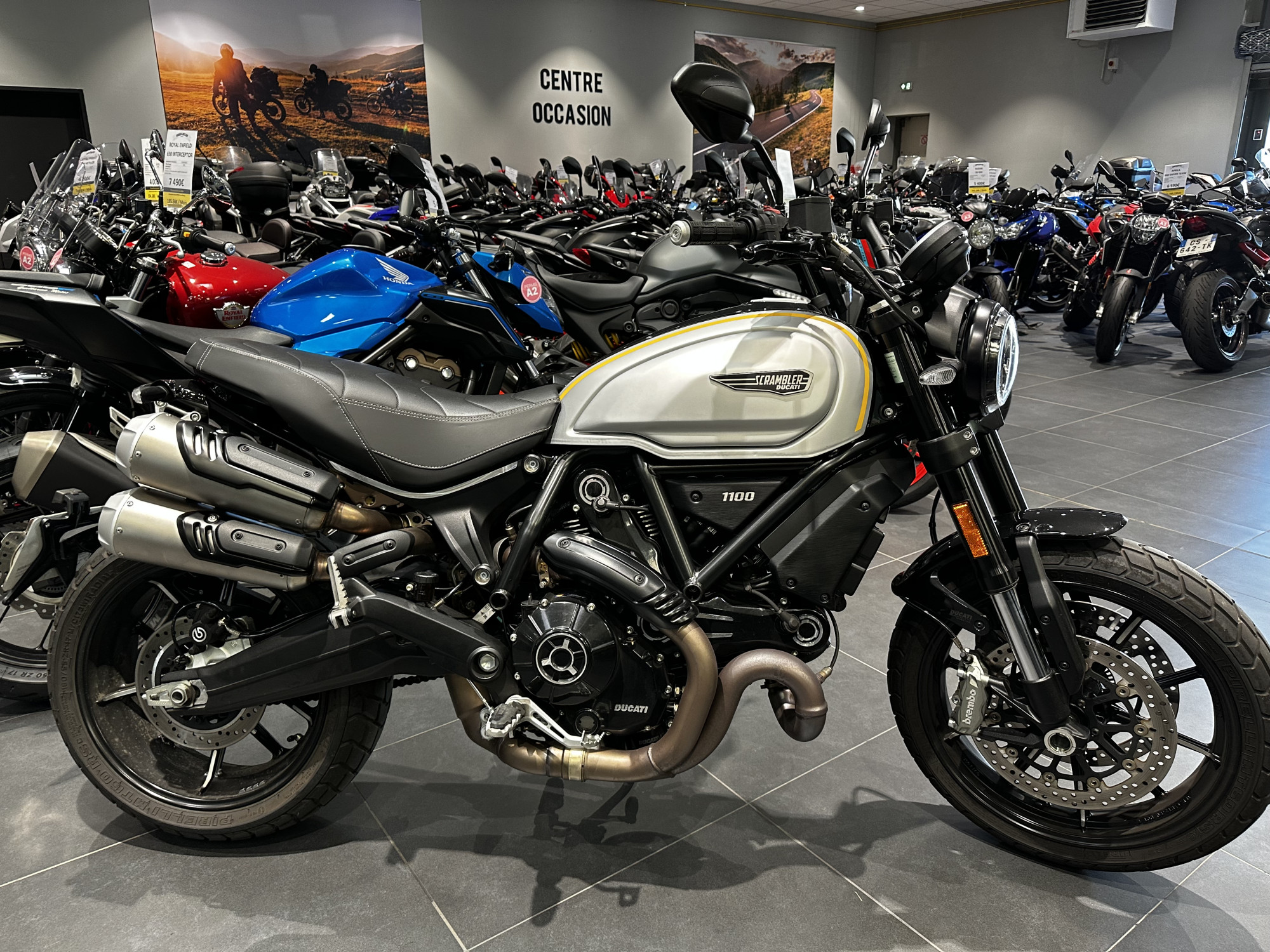 photo de DUCATI SCRAMBLER 1100 occasion de couleur  en vente à Ploeren n°2