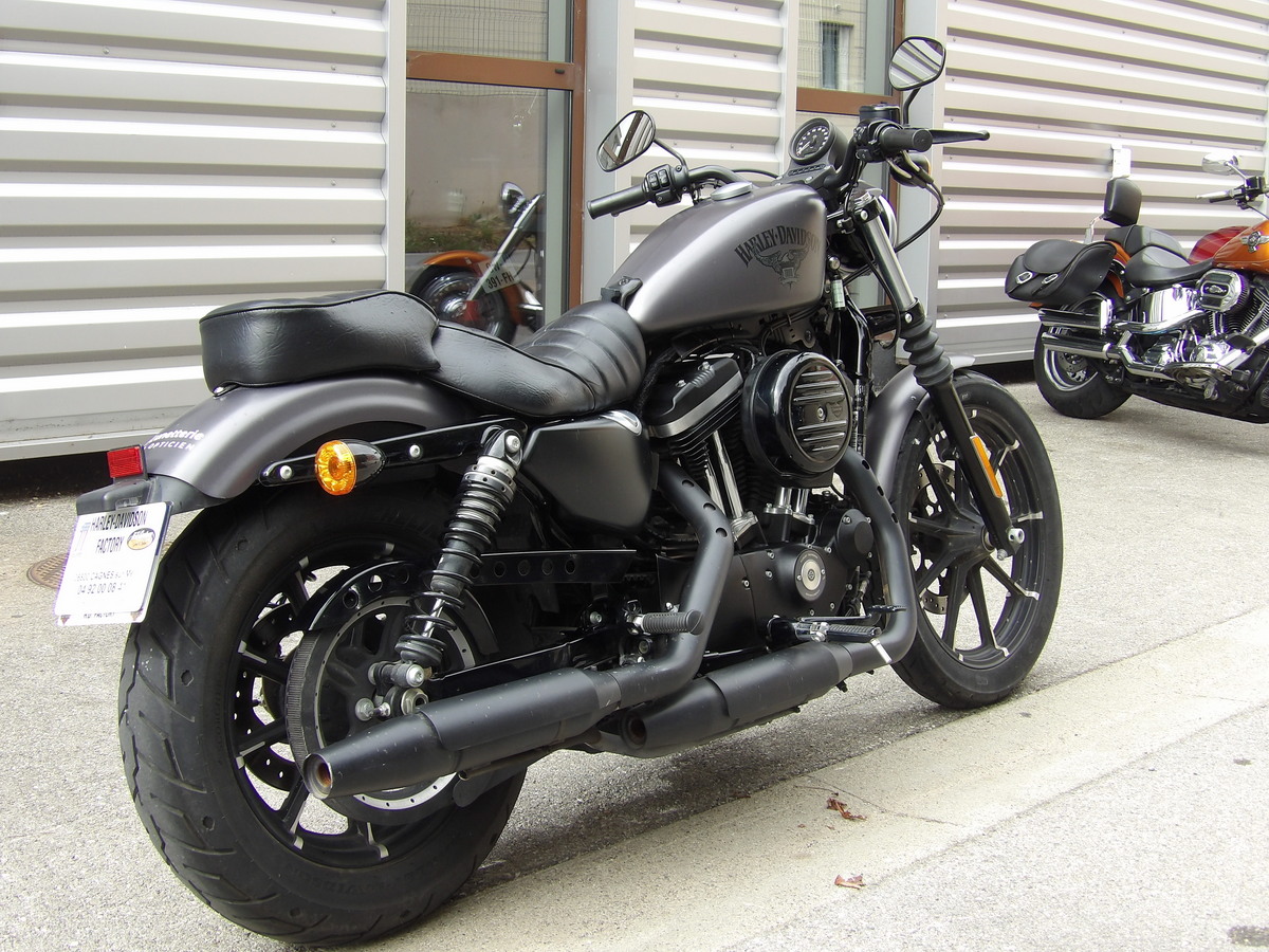 photo de HARLEY DAVIDSON HARLEY-DAVIDSON SPORTSTER 883 883 occasion de couleur  en vente   Cagnes Sur Mer