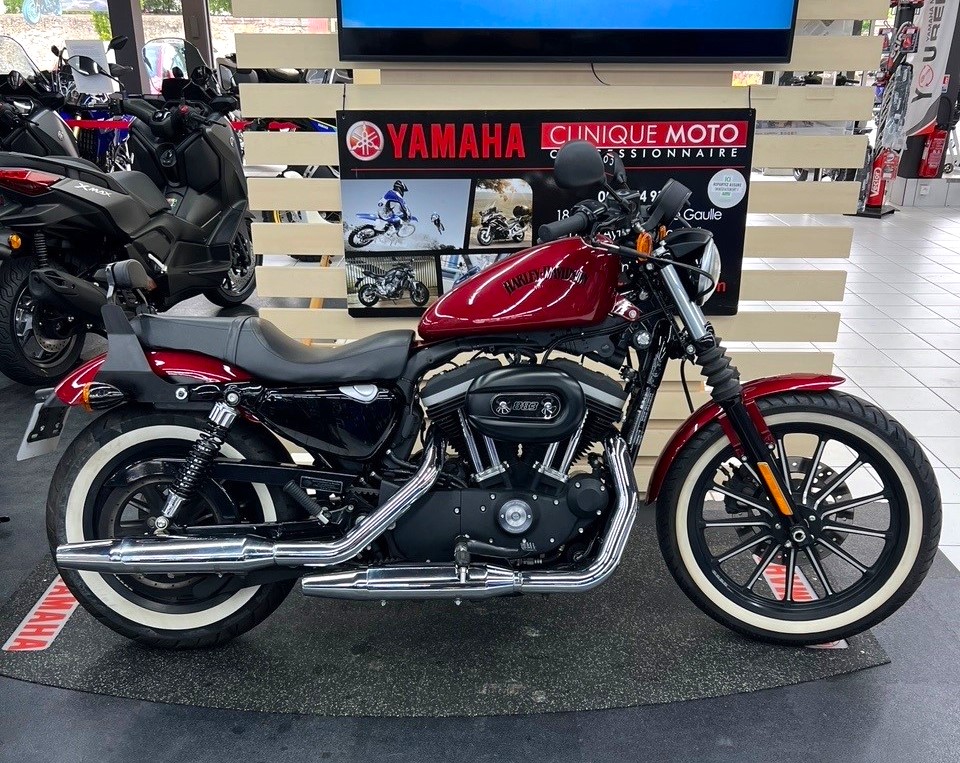 photo de HARLEY DAVIDSON SPORTSTER IRON 883 883 occasion de couleur  en vente à Aytre n°3